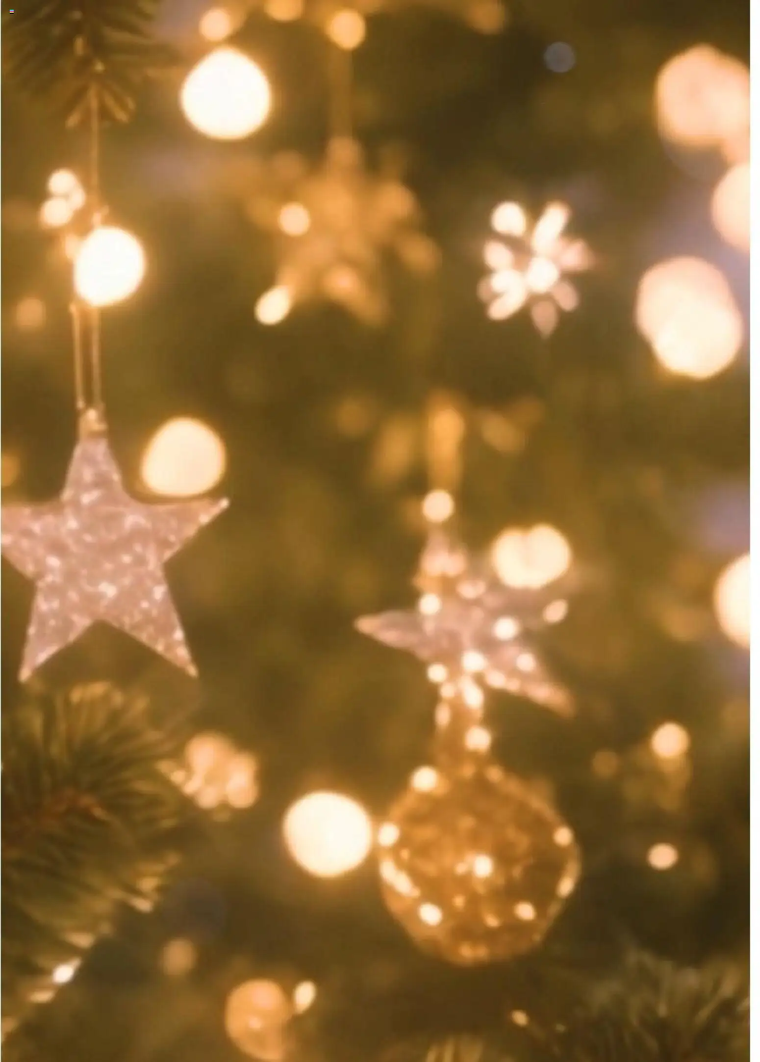 Bauhaus - Navidad 2025 - Página de 48 - Válido desde 05/11/2025