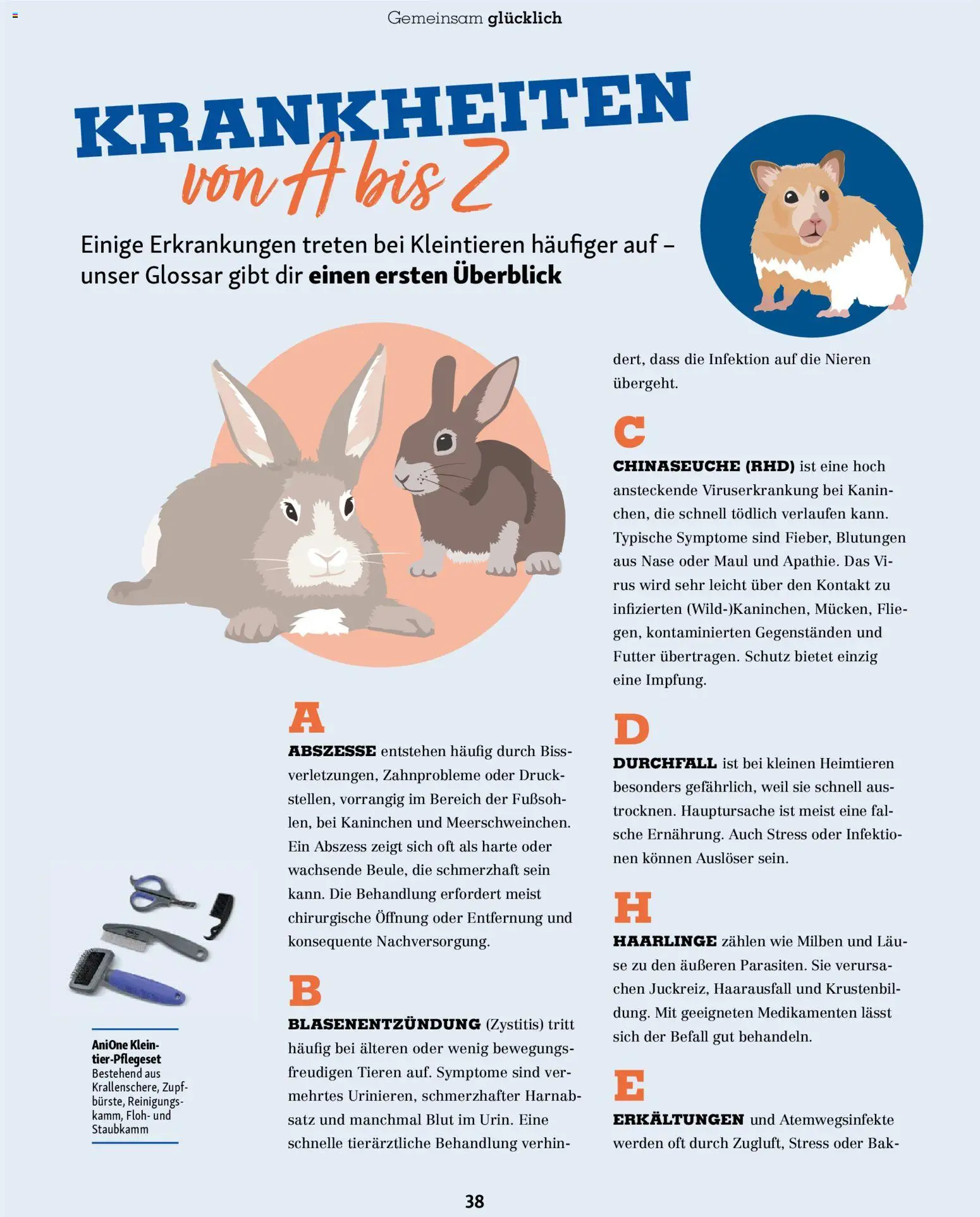 Fressnapf Friends Magazin - Seite 38 - gültig ab 02.03.2026