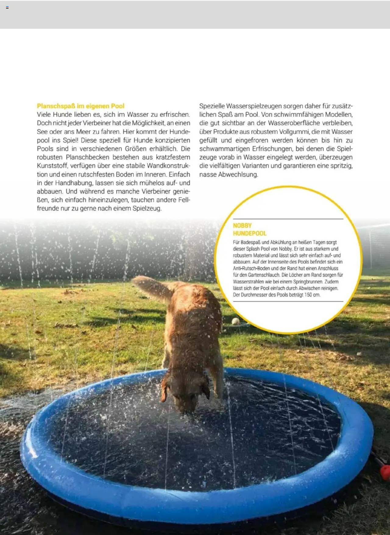 zookauf  Themenkatalog Hund - Seite 35 - gültig ab 20.05.2025