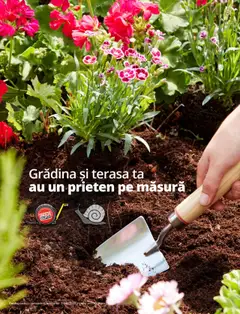 Brico Depot catalog - Semințe valabil de la 14.02.2025