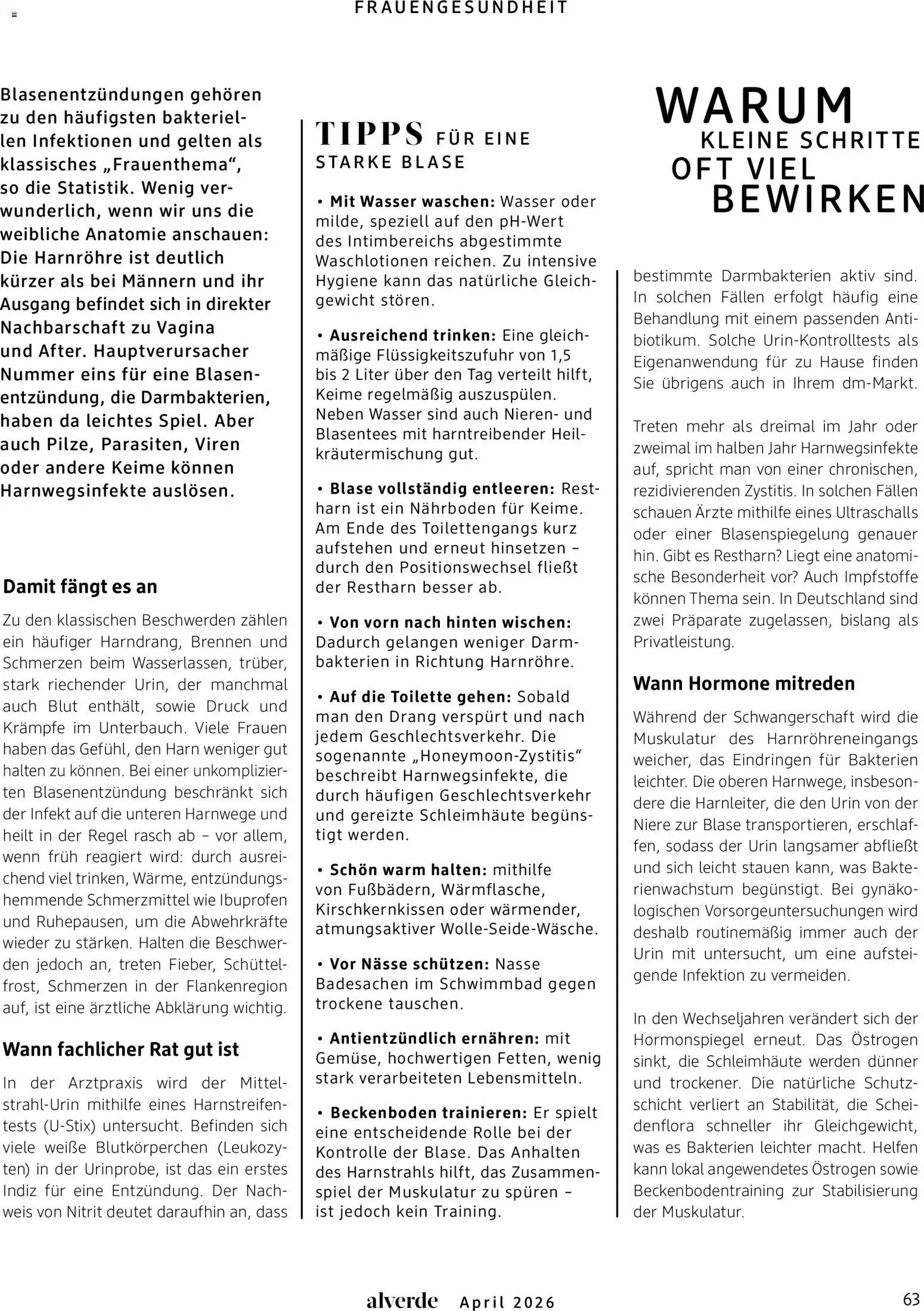 dm drogerie Prospekt 	 - Seite 63 - gültig ab 01.04.2026