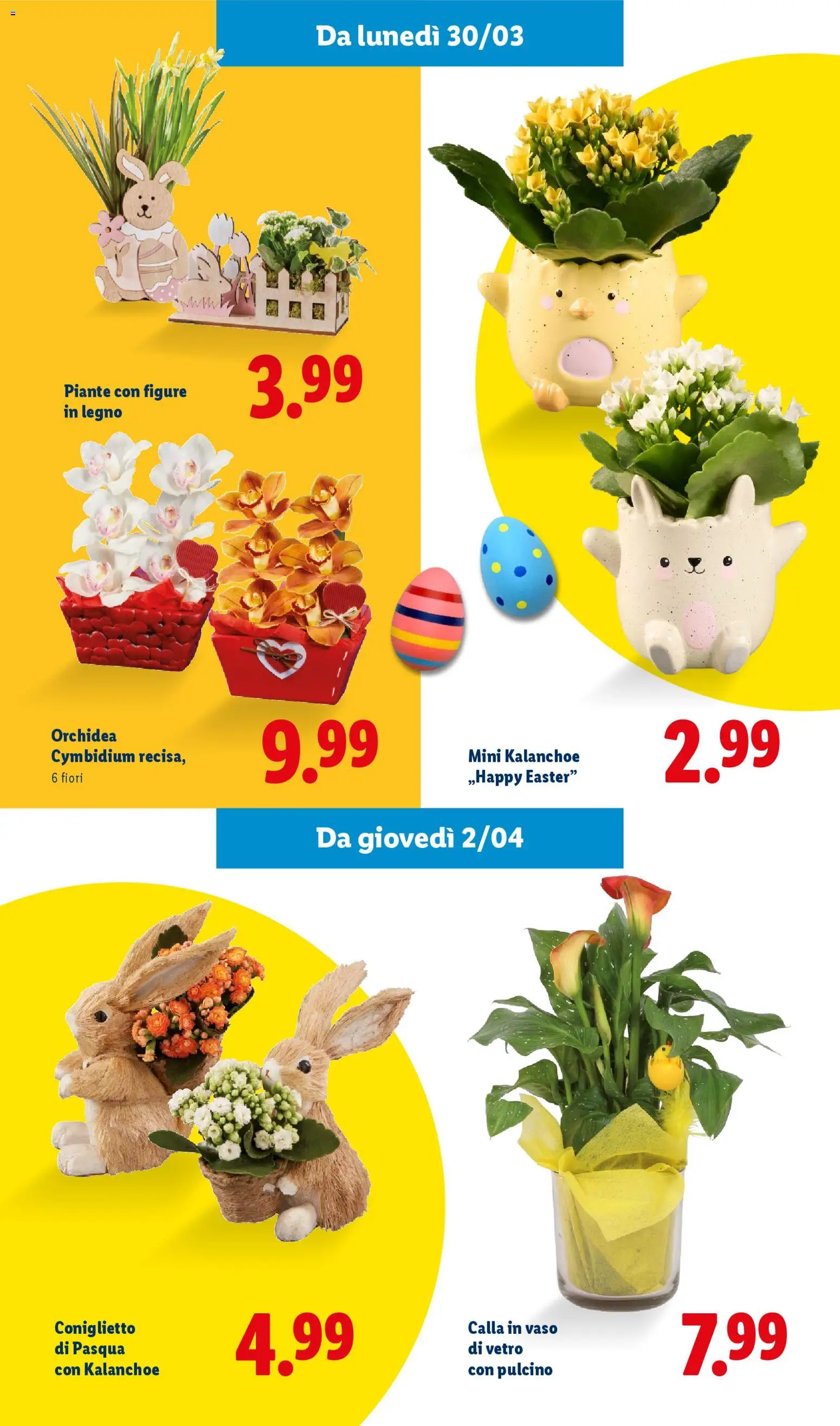 Lidl volantino Vale davvero - pagina 46 - valido dal 27/02/2026