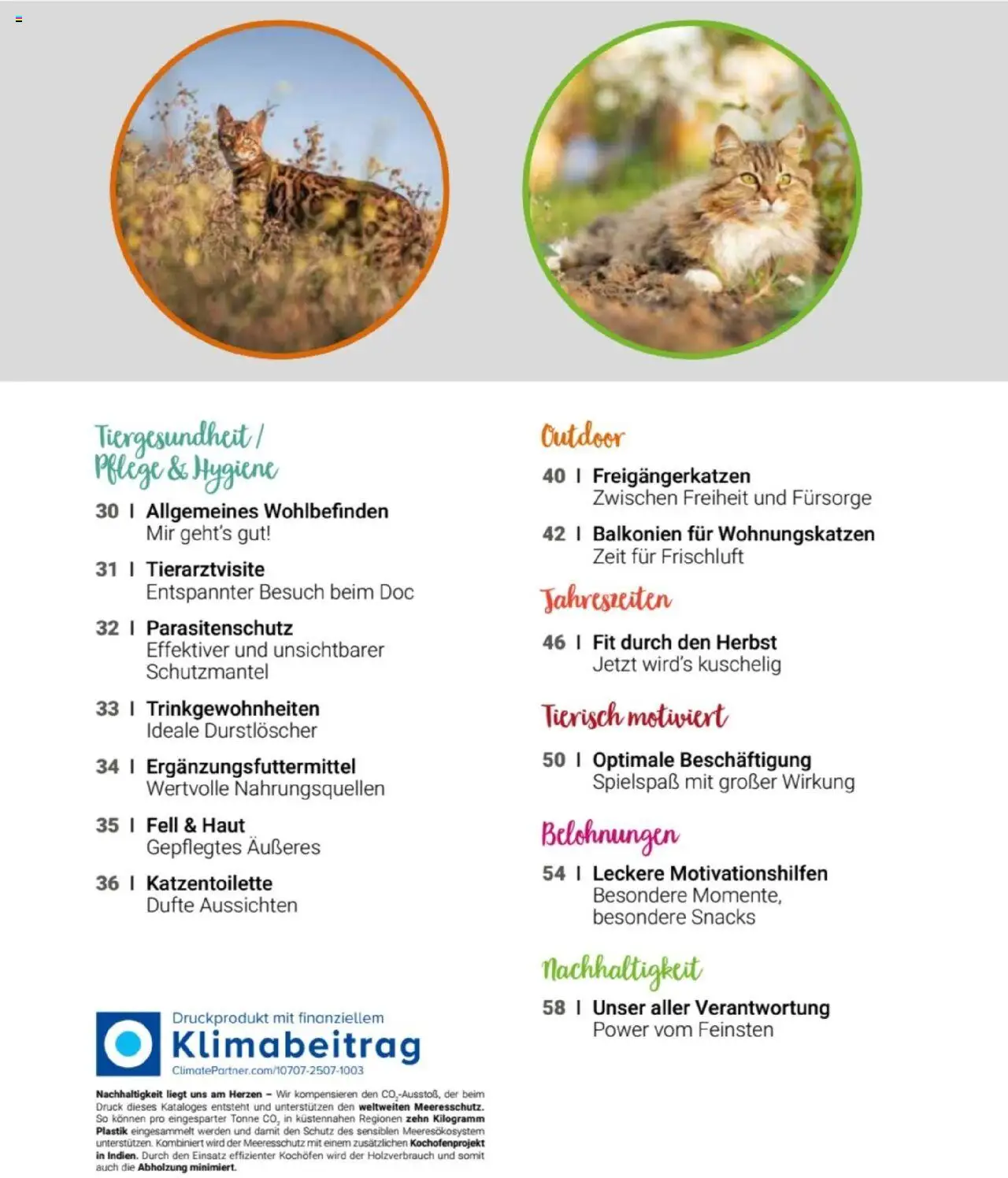 zookauf Themenkatalog Katze - Seite 3 - gültig ab 01.10.2025