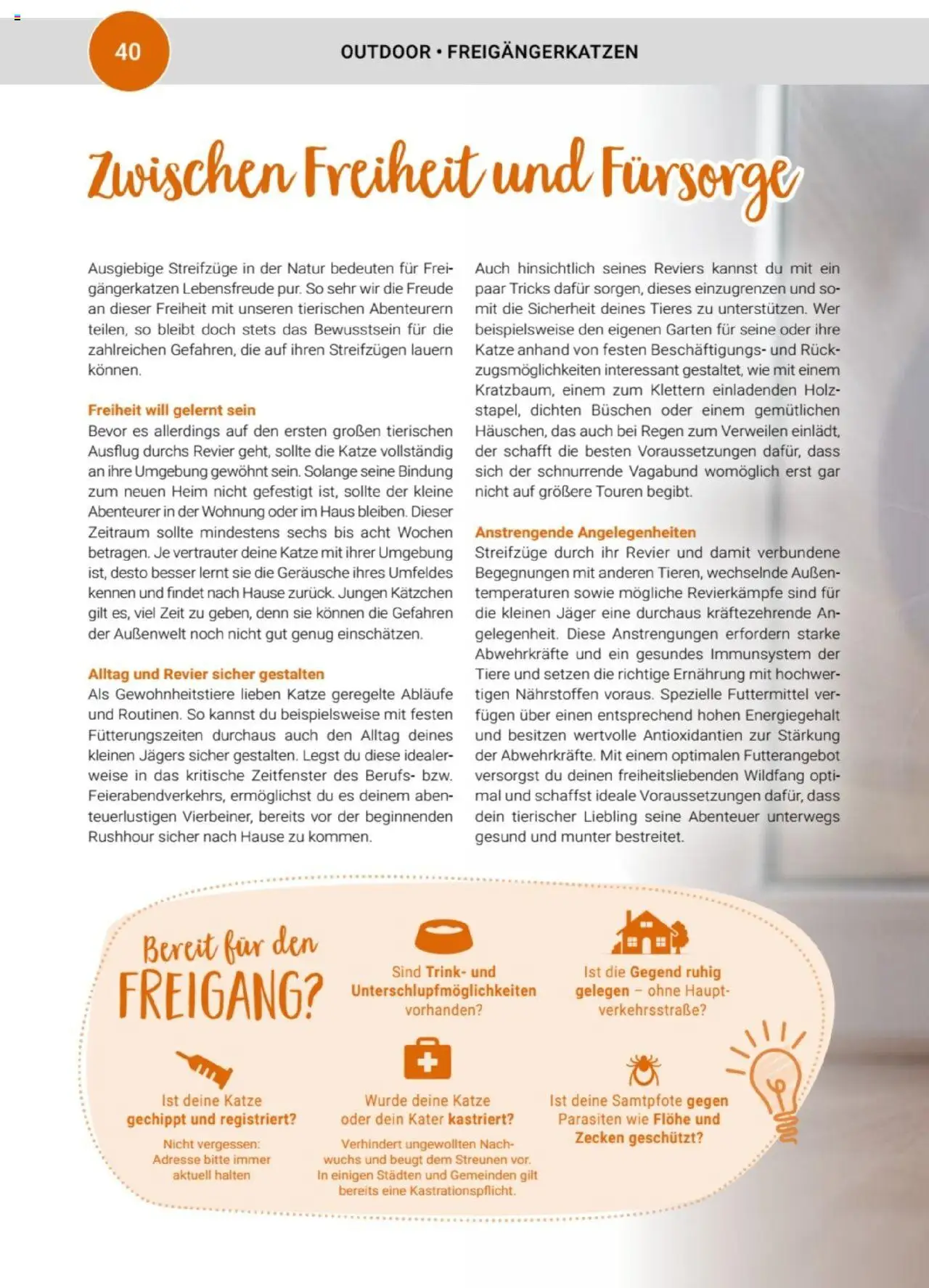 zookauf Themenkatalog Katze - Seite 40 - gültig ab 01.10.2025