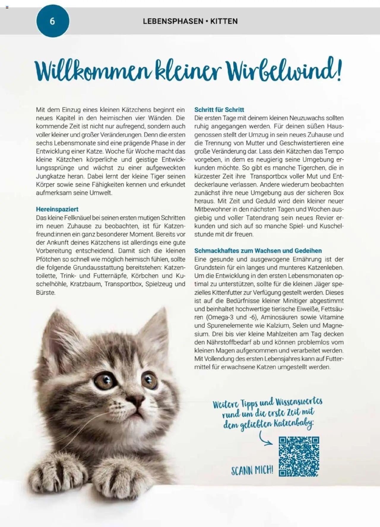 zookauf Themenkatalog Katze - Seite 6 - gültig ab 01.10.2025
