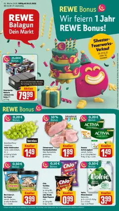 Rewe DE - DE Folder geldig vanaf 29-12-2025