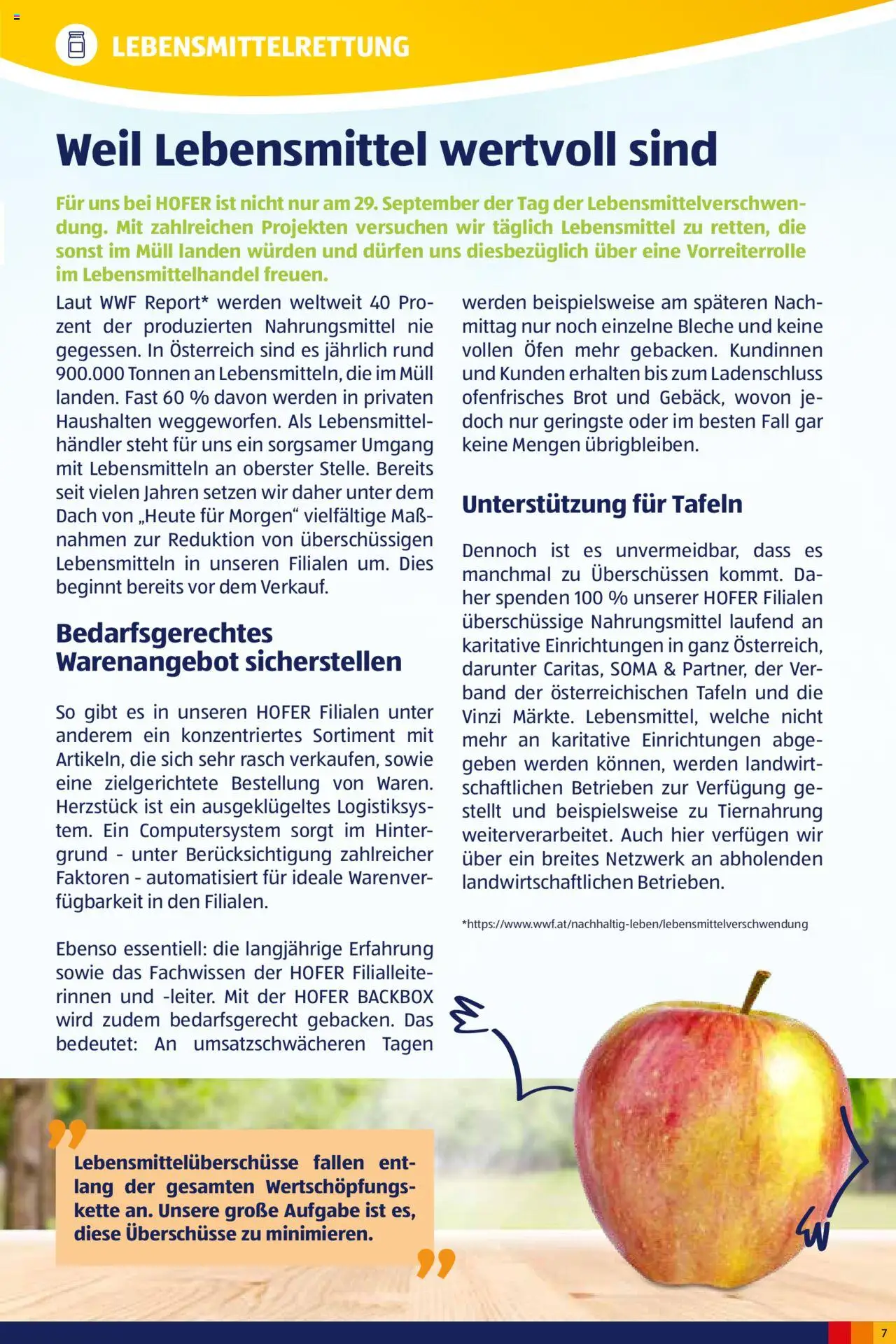 Hofer Heute für Morgen-Magazin - page 7- valid from 02.10.2024