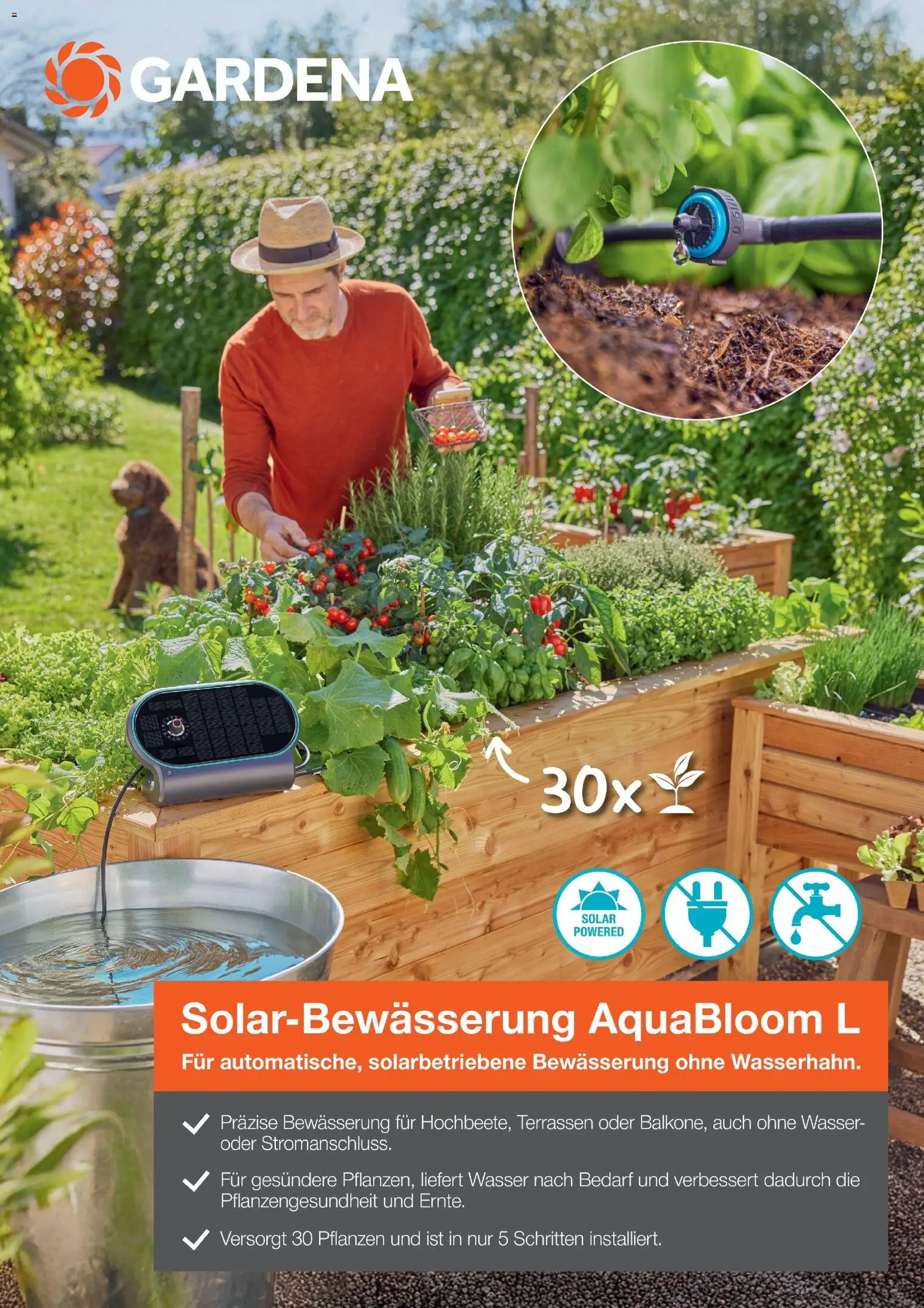 Dehner Prospekt 	 - Seite 65 - gültig ab 17.04.2026