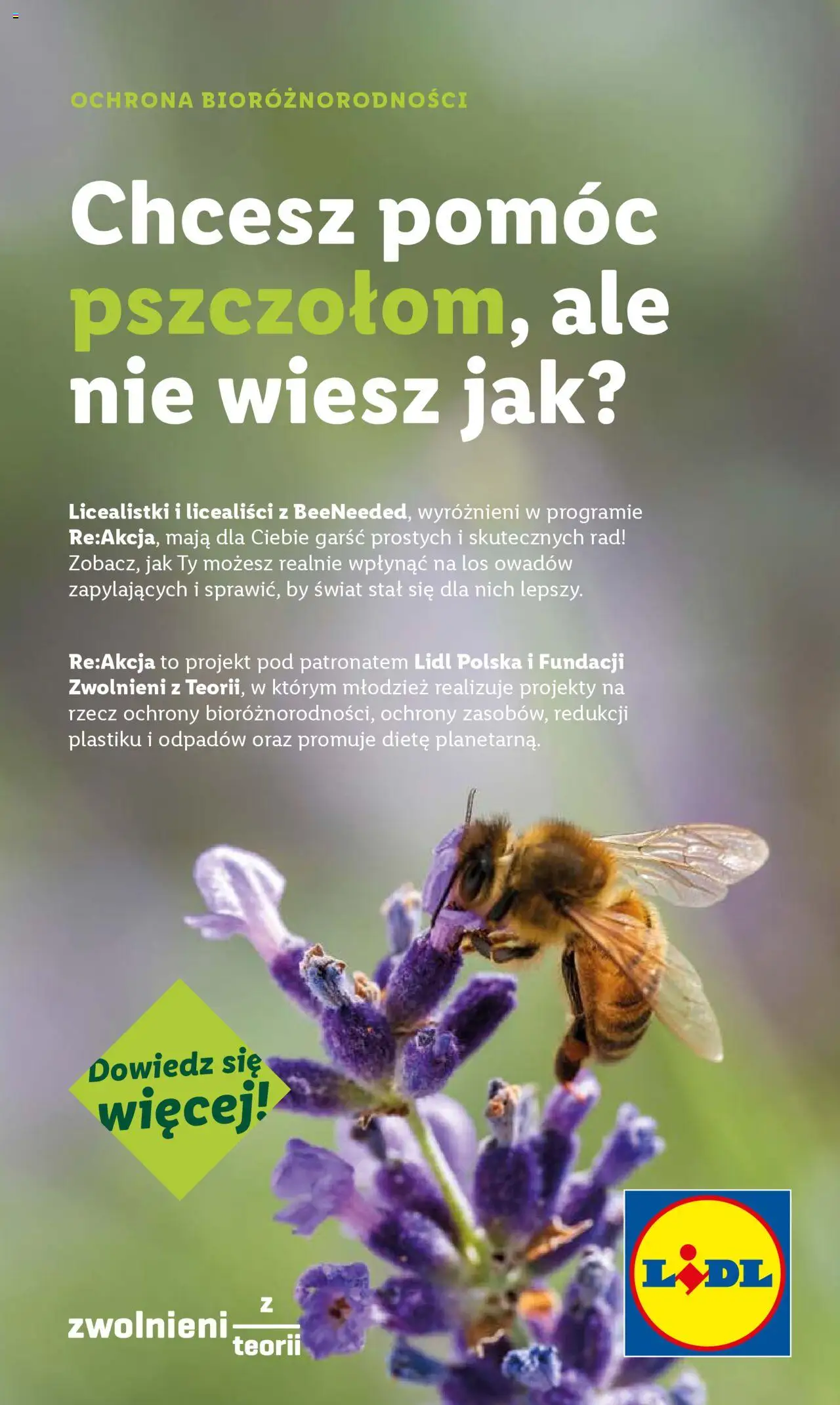 Lidl Gazetka - strona 61- ważny od 17.07.2025