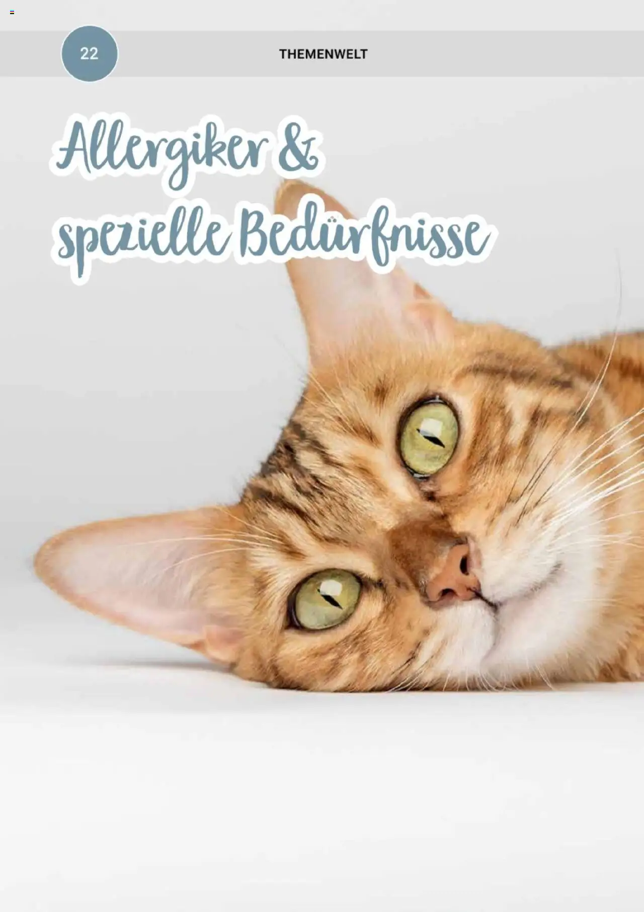 zookauf Themenkatalog Katze - Seite 22 - gültig ab 01.10.2025