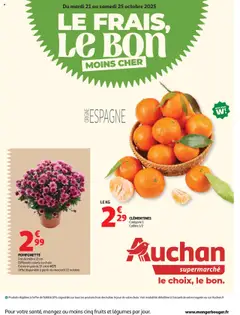 Auchan folder / publicité geldig vanaf 21/10/2025