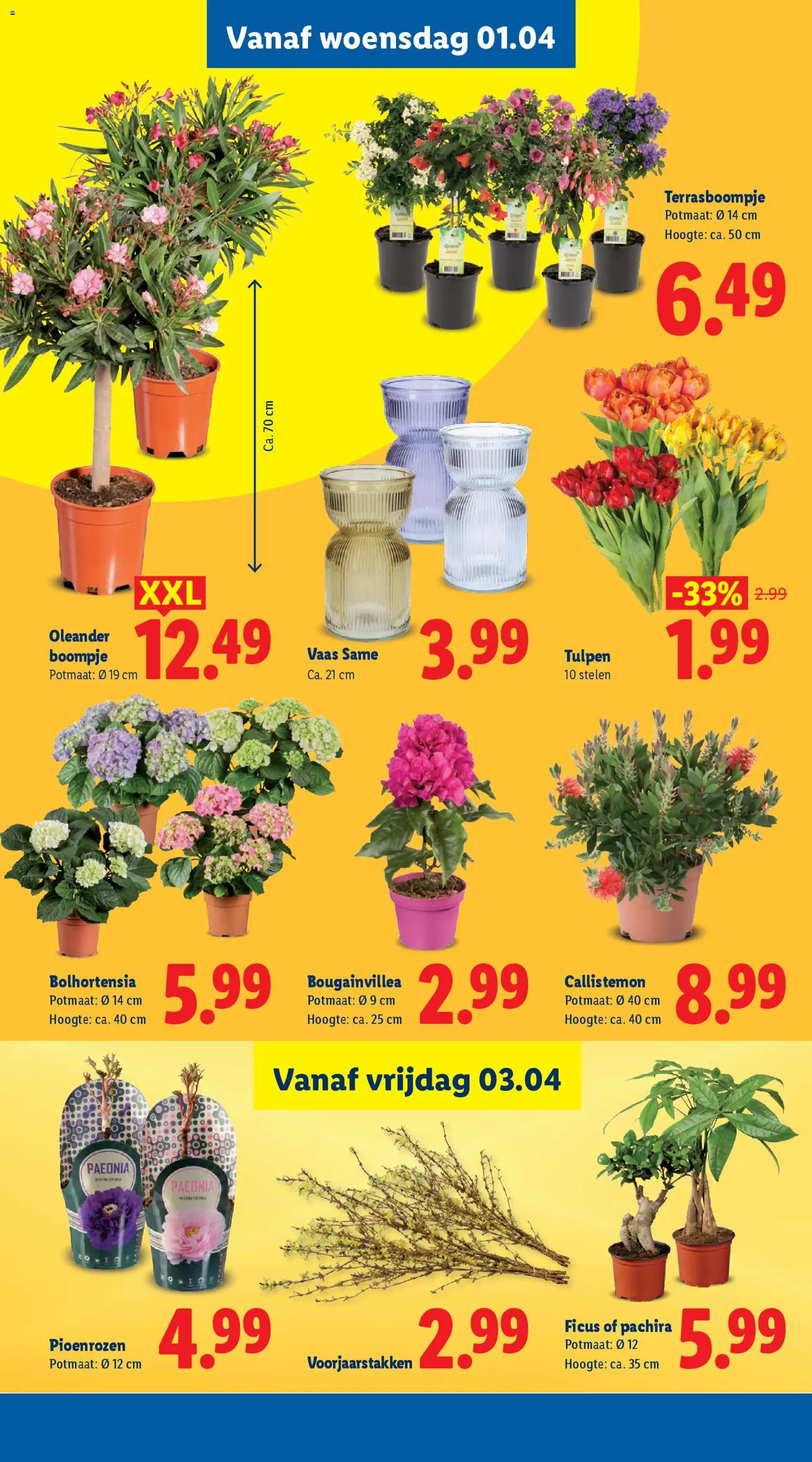 Lidl folder week 14  - page 40- valid from 30-03-2026