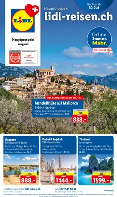 Vorschau Lidl Aktionen Reisen August gültig ab 30.07.2025