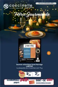 Aperçu Coccinelle - Express valable à partir du 03/12/2025