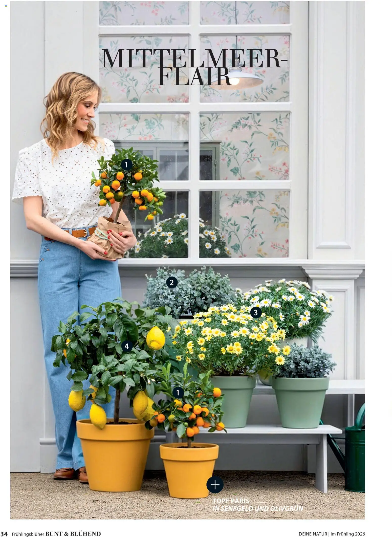 Dehner Prospekt 	 - Seite 34 - gültig ab 04.03.2026