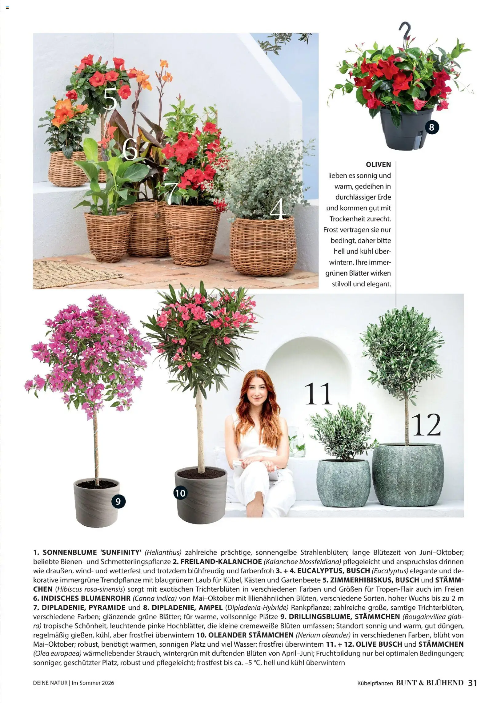 Dehner Prospekt 	 - Seite 31 - gültig ab 17.04.2026