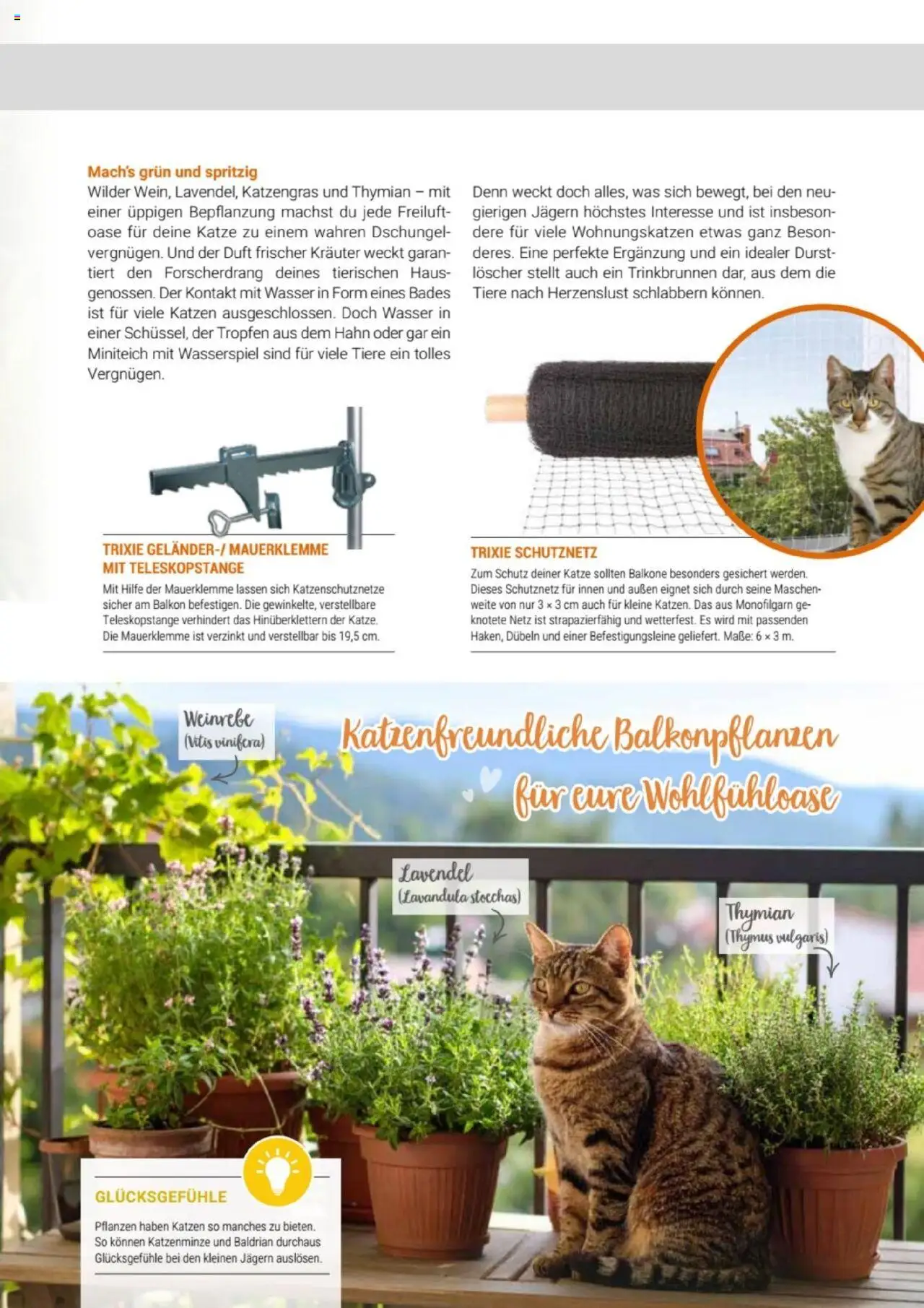 zookauf Themenkatalog Katze - Seite 43 - gültig ab 01.10.2025