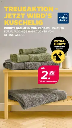 Vorschau Netto Ttreueaktion gültig ab 20.10.2025