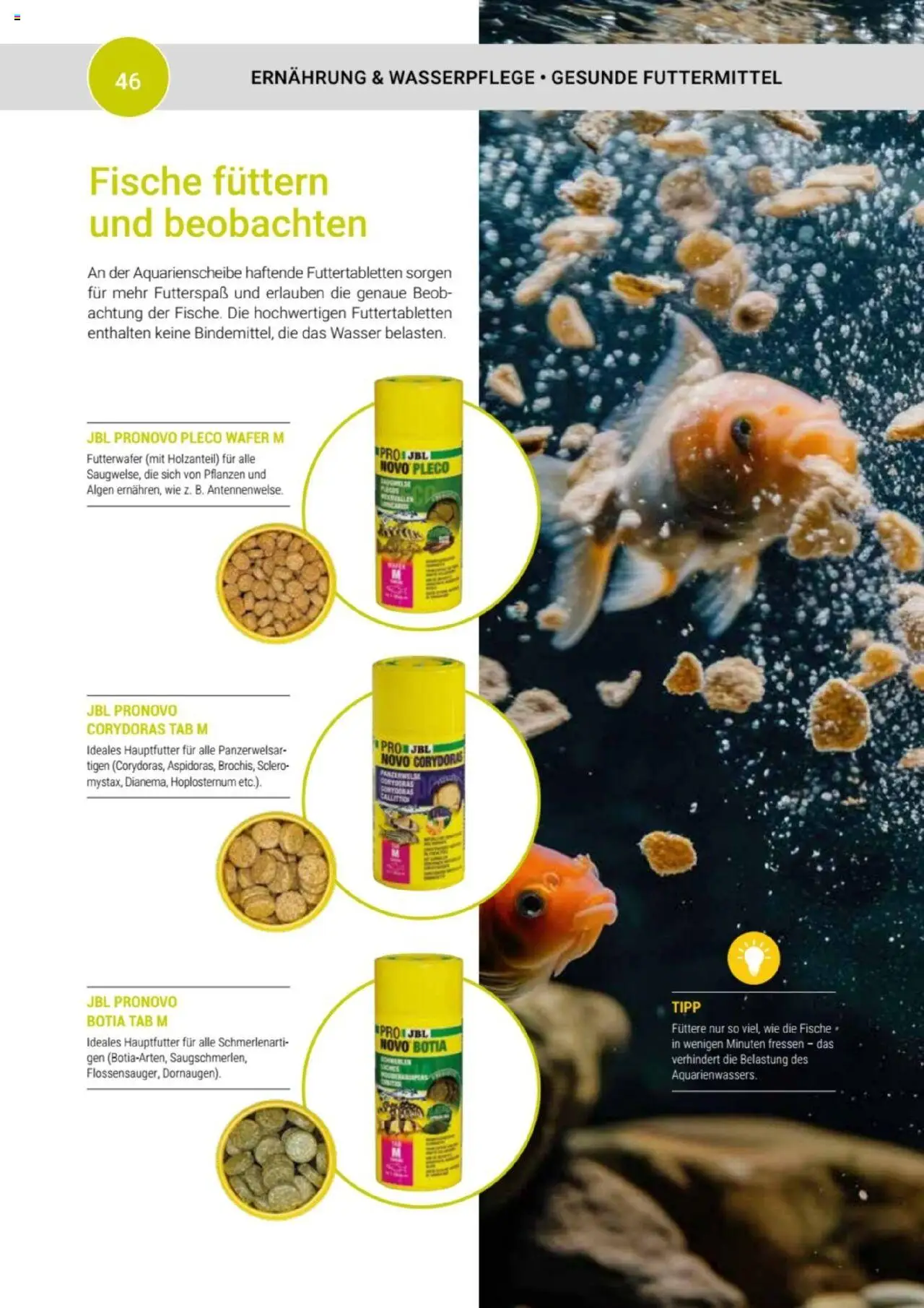 zookauf Themenkatalog Aquaristik - Seite 46 - gültig ab 01.10.2025