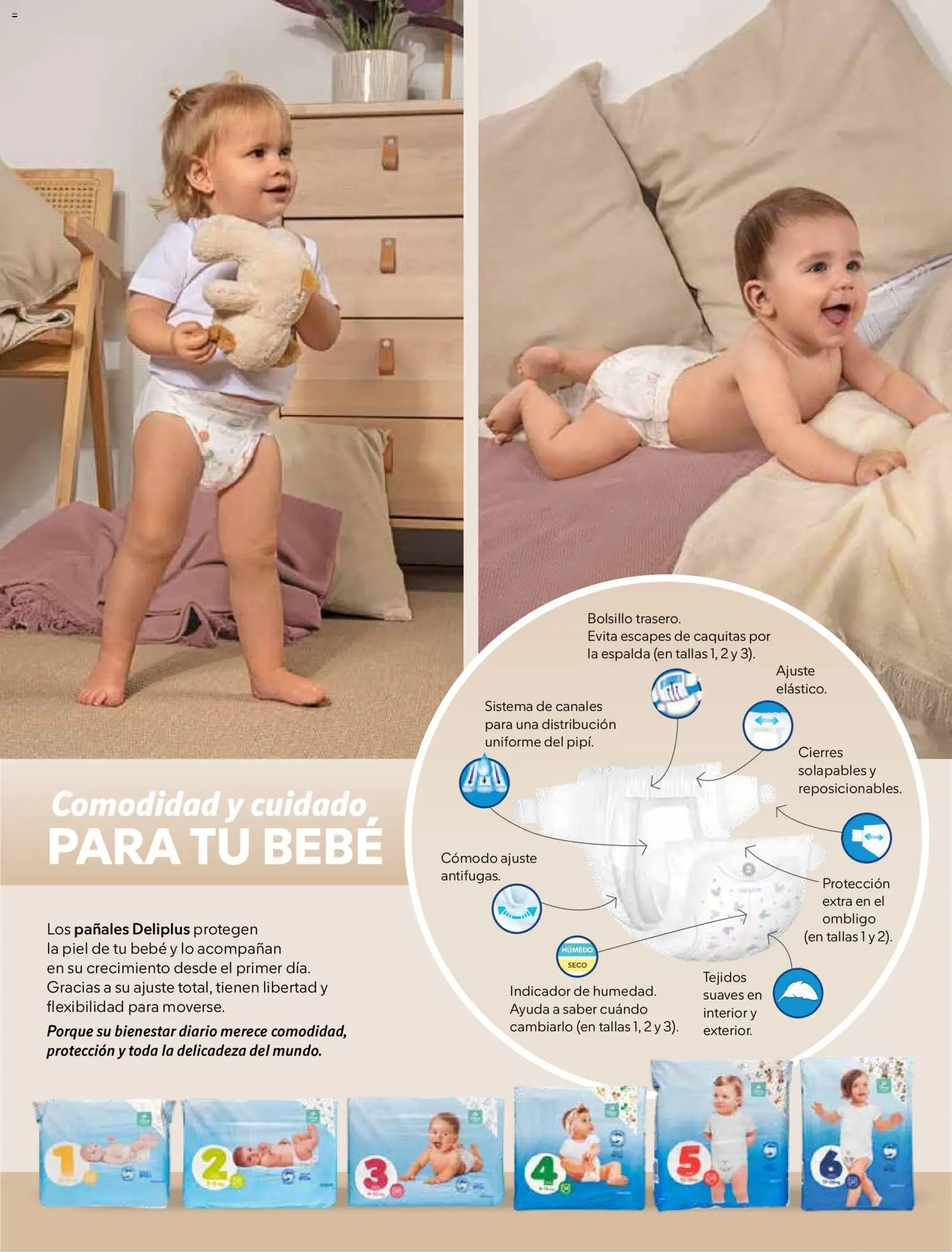 Catálogo Mercadona - febrero-marzo 2026 - Página de 23 - Válido desde 01/02/2026