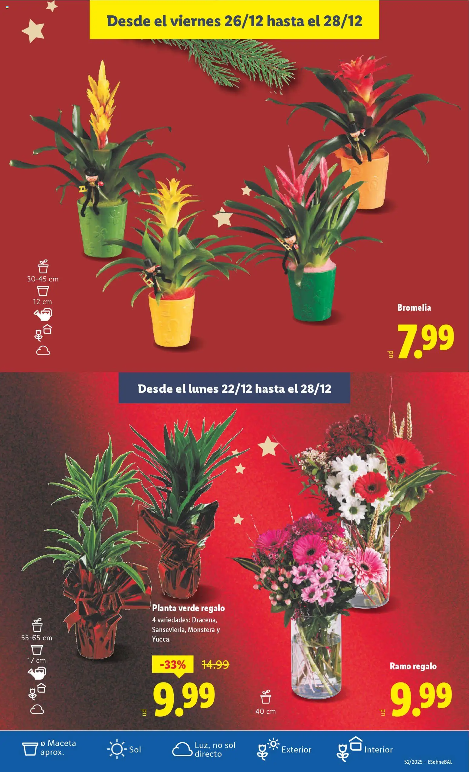 Lidl folleto - Página de 53 - Válido desde 22/12/2025