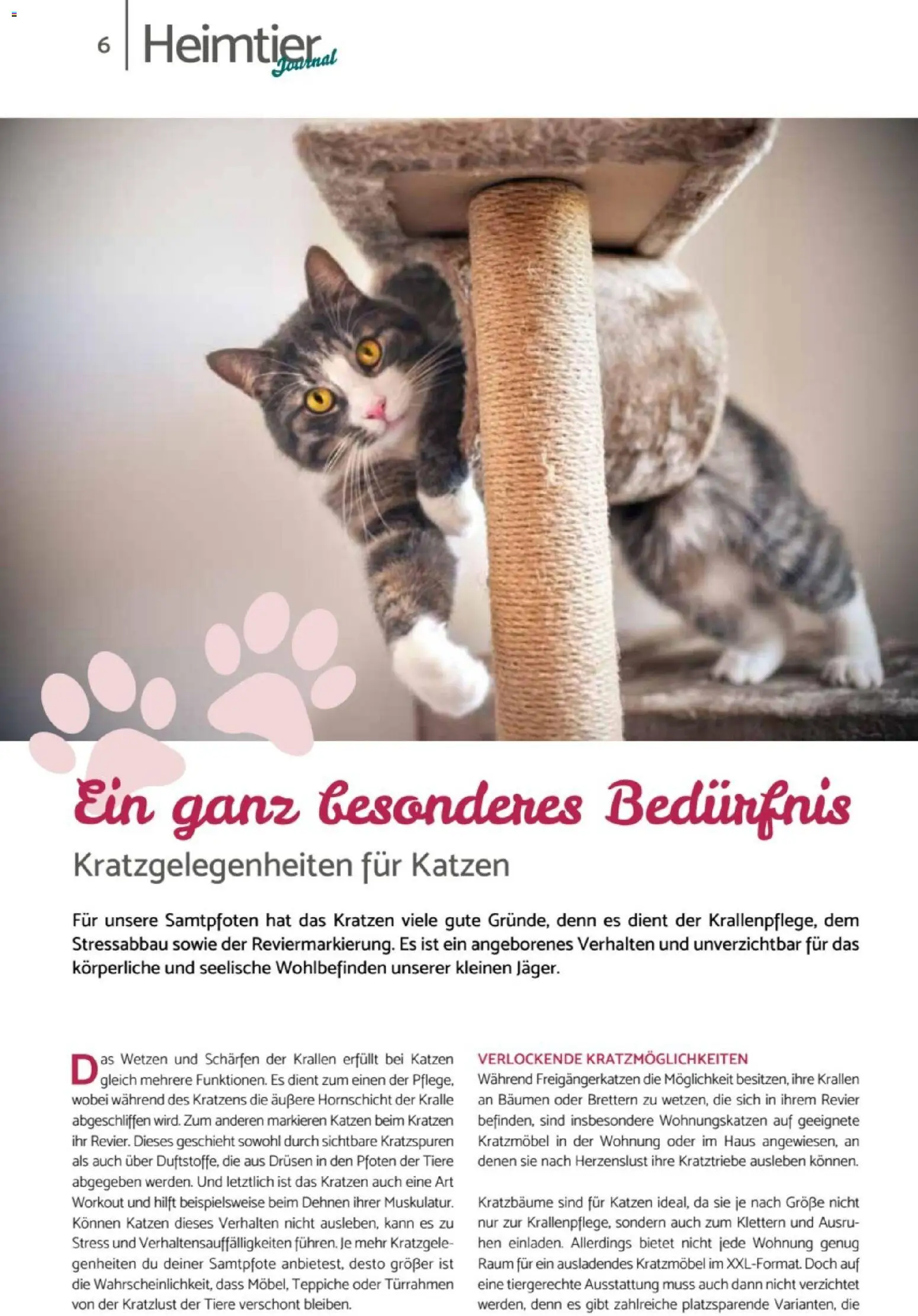 zookauf  Heimtier Journal - Seite 6 - gültig ab 01.02.2026