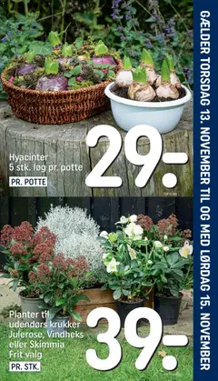 Forhåndsvisning Rema 1000 - Indstik gyldig fra 13/11/2025