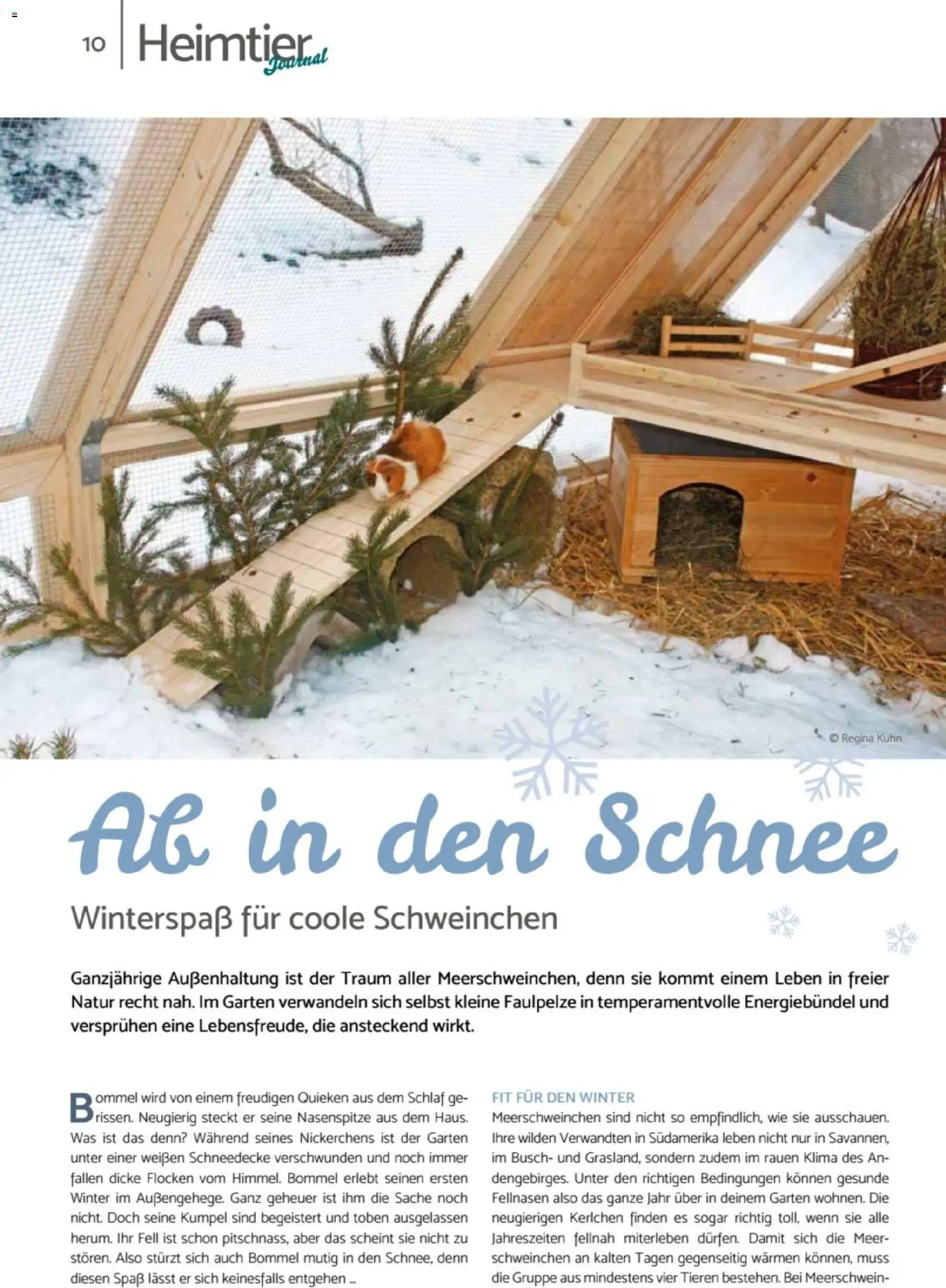 zookauf - Heimtier Journal - Seite 10 - gültig ab 01.12.2025