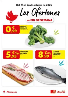 Vista previa del folleto Alcampo - Pasamanos  válido desde 24/10/2025