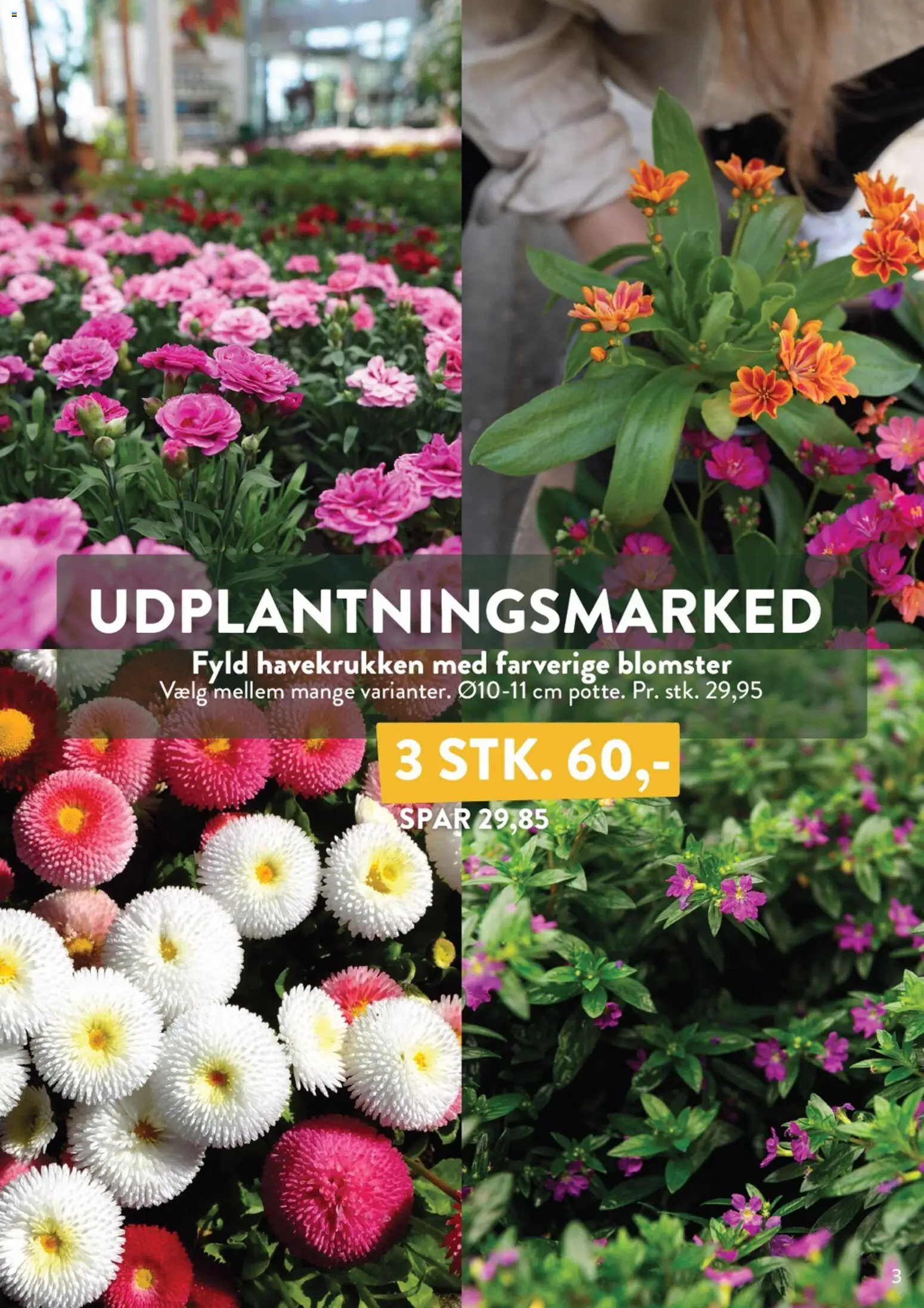 Plantorama - Tilbudsavis - page 3- valid from 27/03/2026