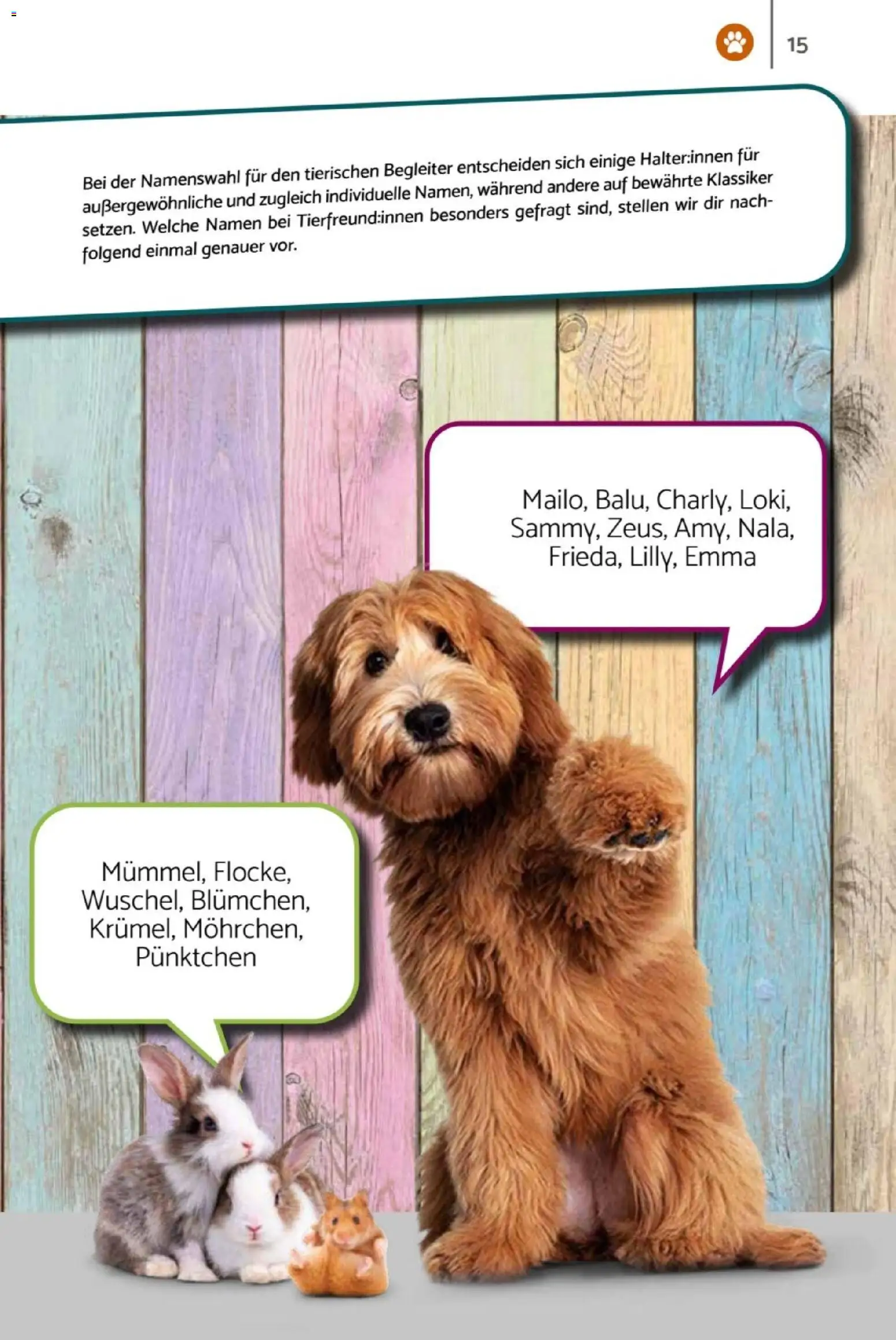 zookauf  Heimtier Journal - Seite 15 - gültig ab 01.02.2026