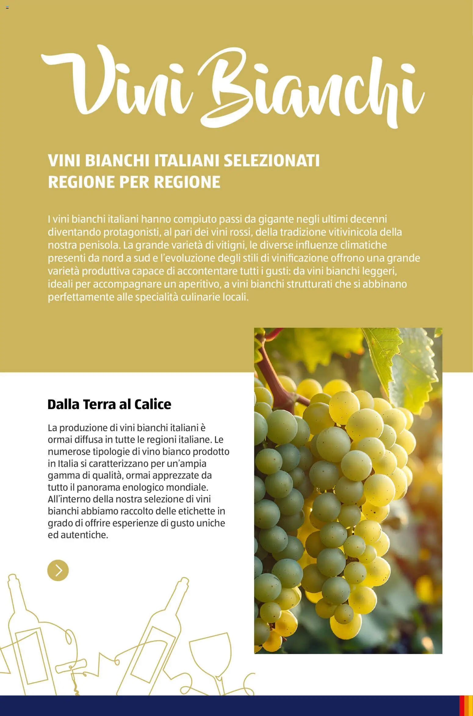 Aldi Vinoteca catalogo - pagina 30 - valido dal 12/01/2026