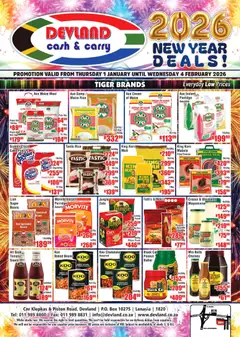 Preview Devland Monthly Specials valid from 01/01/2026