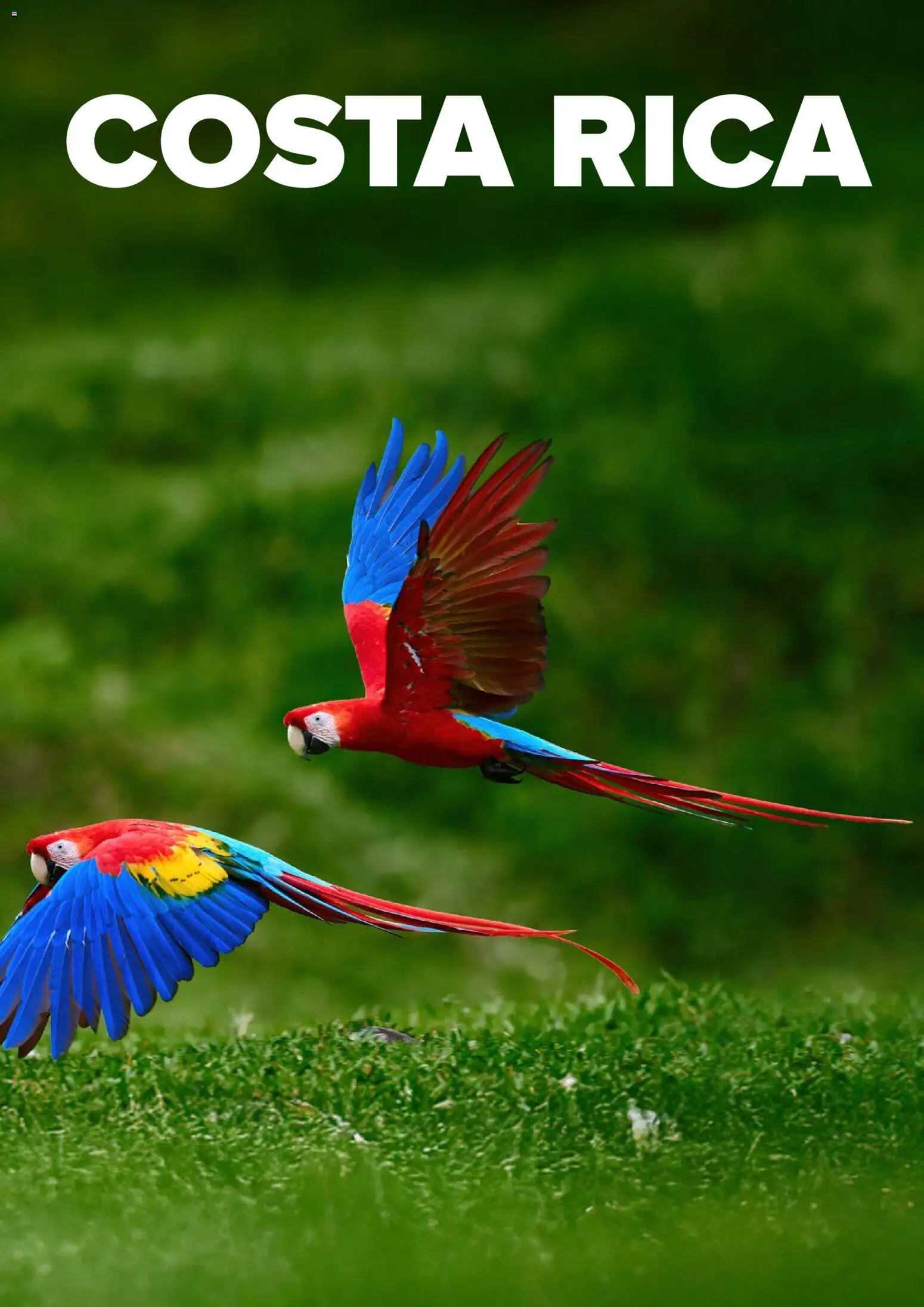 Viajes El Corte Inglés Centroamérica y Sudamérica - Página de 16 - Válido desde 01/01/2026