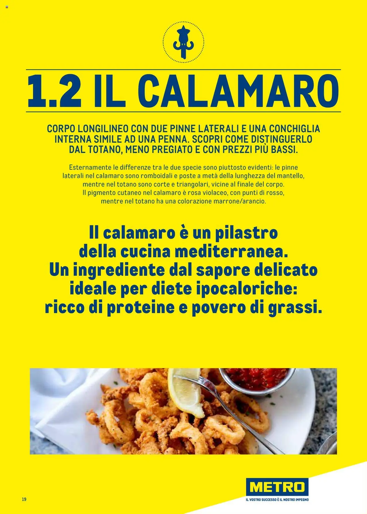 Metro Surgelati 2025 catalogo - pagina 19 - valido dal 30/06/2025