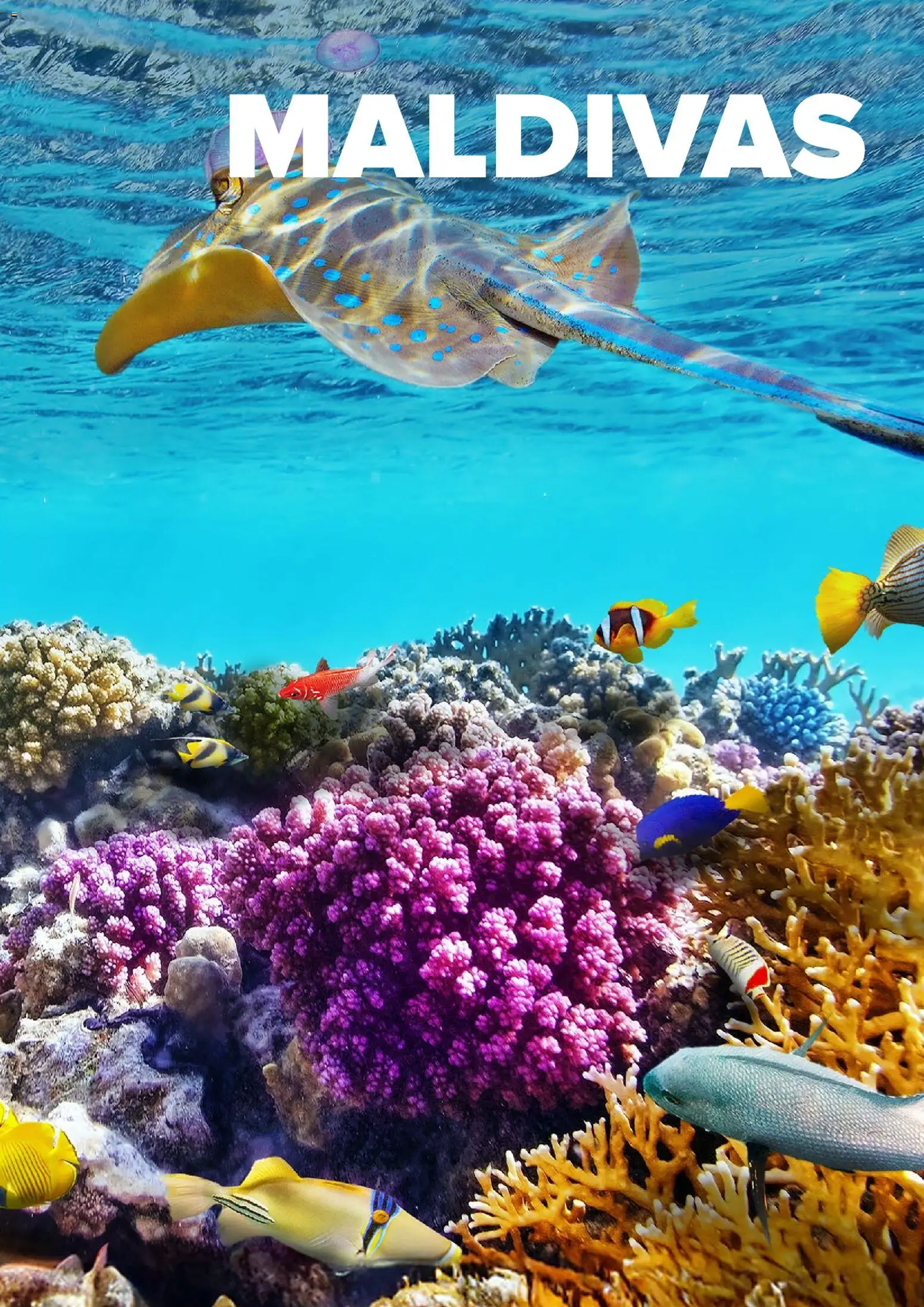 Viajes El Corte Inglés Asia y Oceanía - Página de 39 - Válido desde 01/01/2026