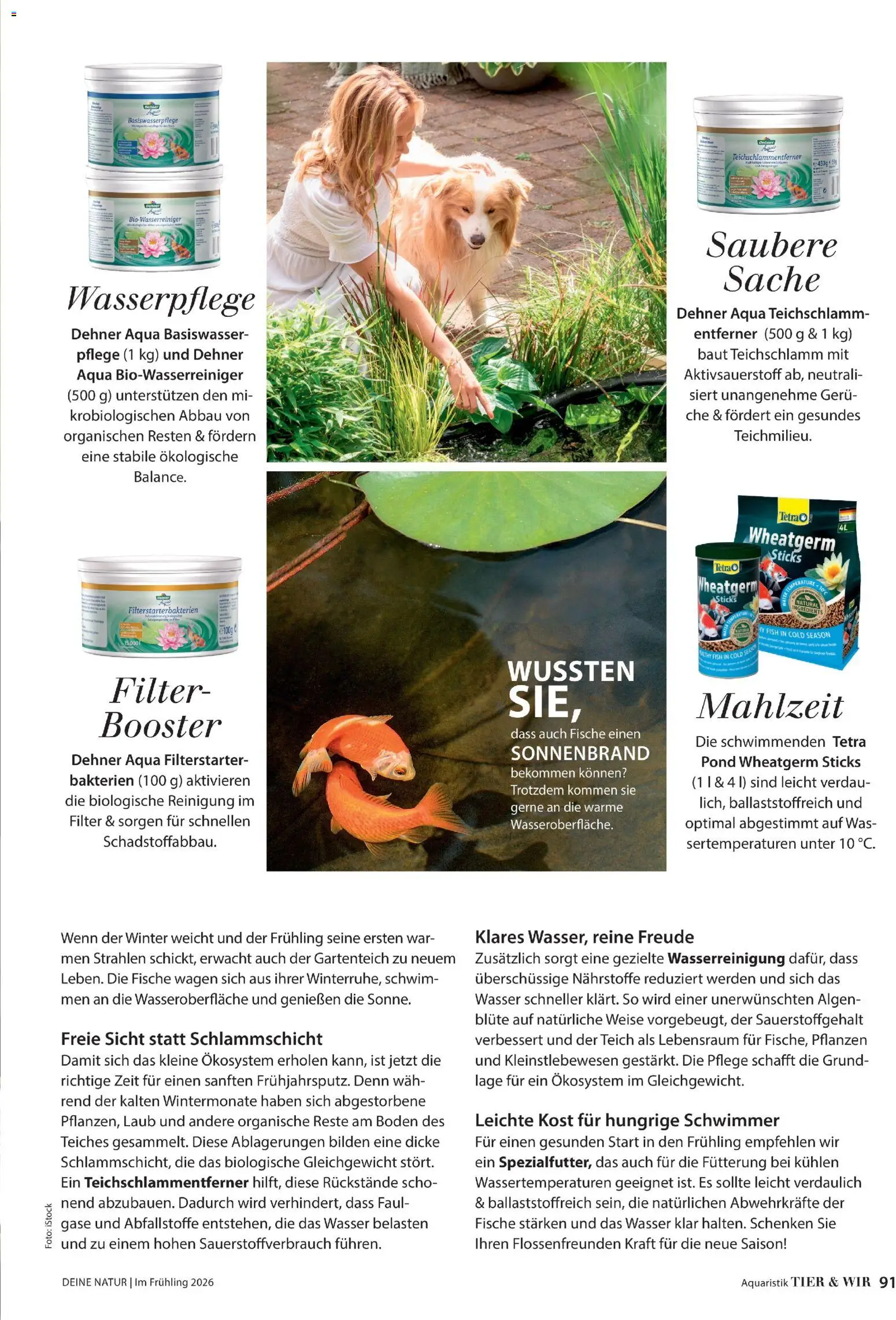 Dehner Flugblatt - page 91- valid from 05.03.2026