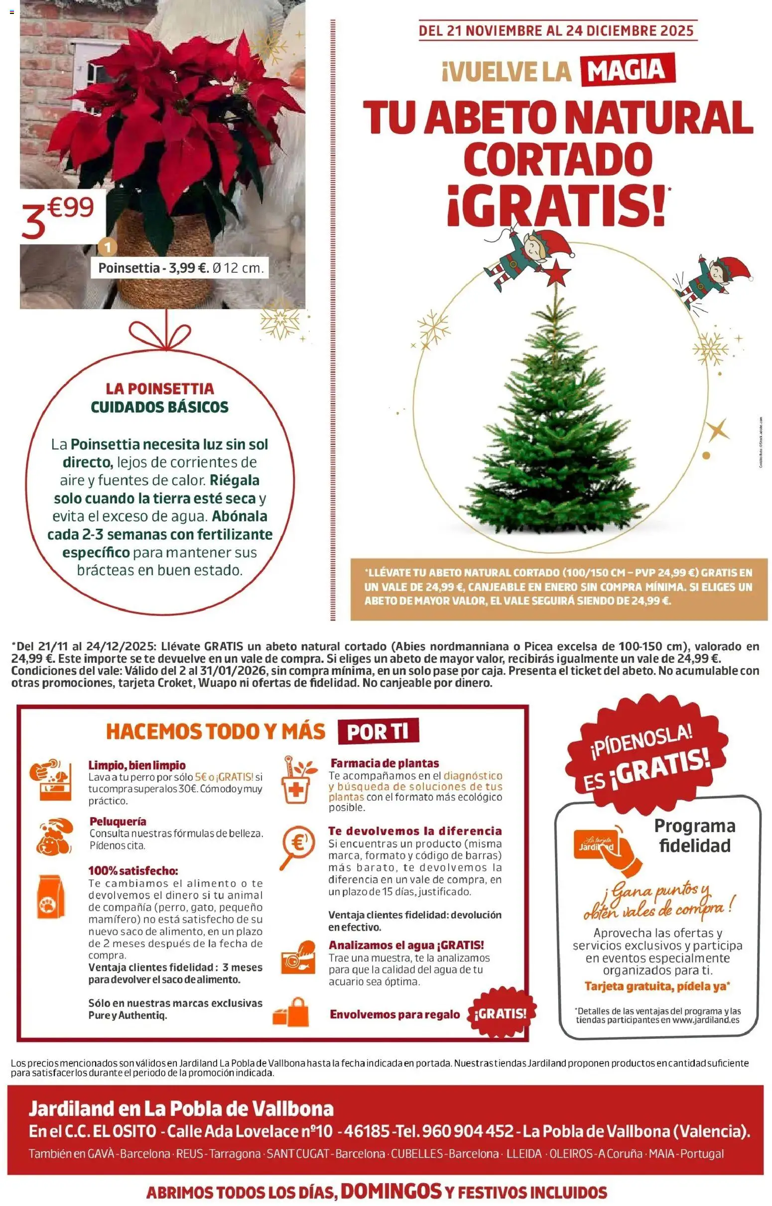 Jardiland - DEJA QUE LA MAGIA TE ENVUELVA, ¡ ES NAVIDAD ! - Página de 12 - Válido desde 19/11/2025