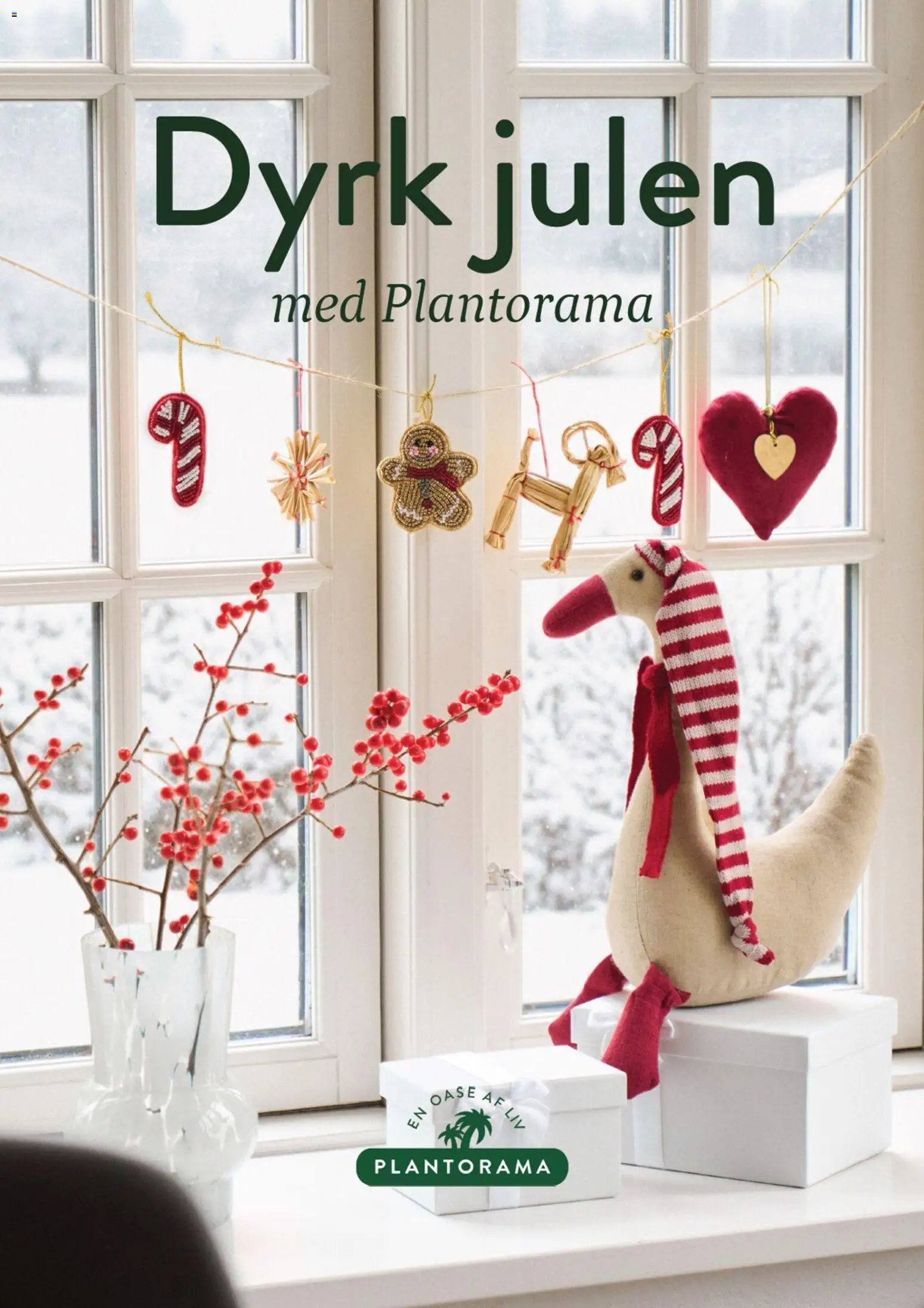Plantorama - Dyrk Julen - side 1- gyldig fra 23/11/2025