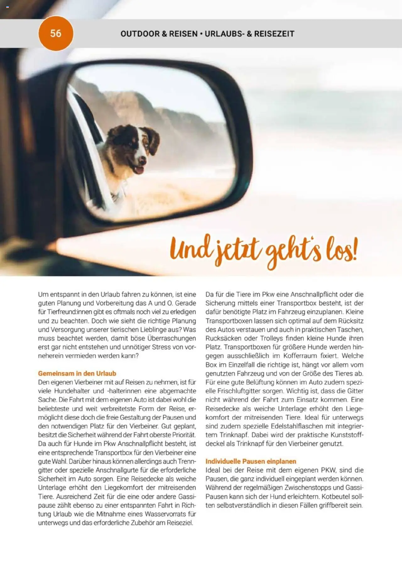 zookauf  Themenkatalog Hund - Seite 56 - gültig ab 20.05.2025