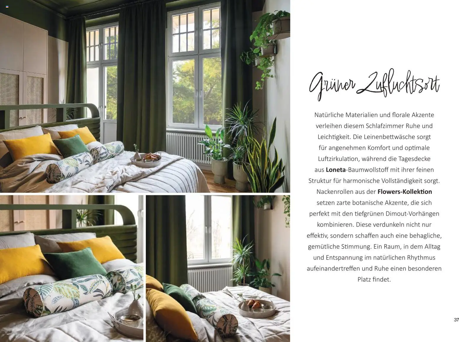 Dekoria Prospekt 	 - Seite 37 - gültig ab 30.01.2026