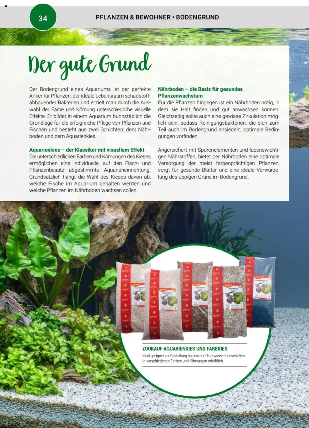 zookauf Themenkatalog Aquaristik - Seite 34 - gültig ab 01.10.2025