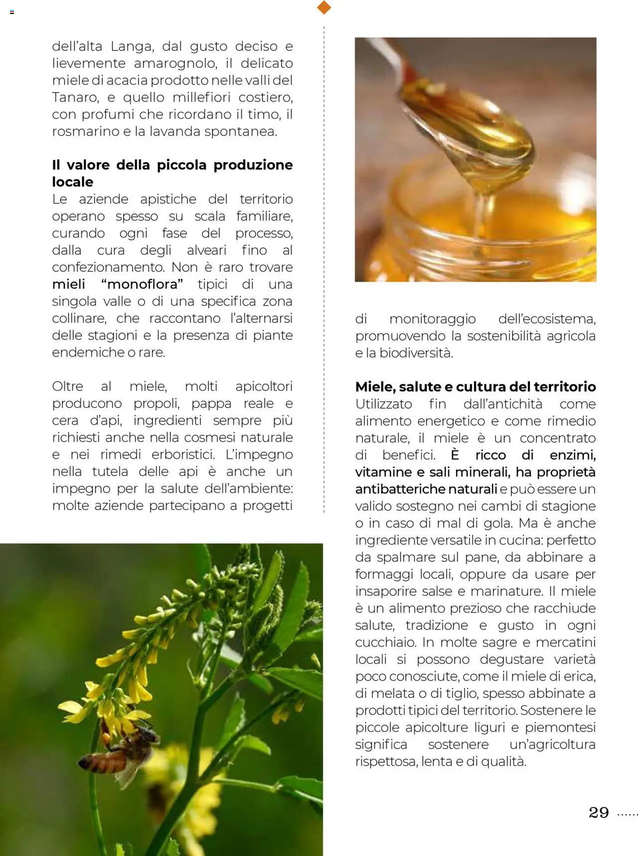 Gulliver Gulli catalogo - pagina 29 - valido dal 27/06/2025
