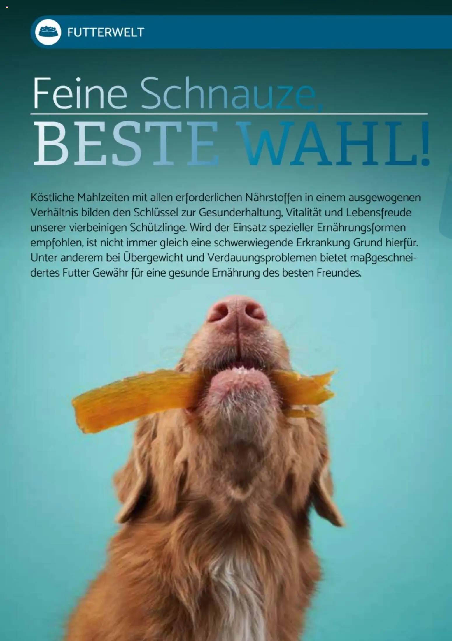 zookauf  Heimtier Journal Special - Seite 10 - gültig ab 01.12.2025