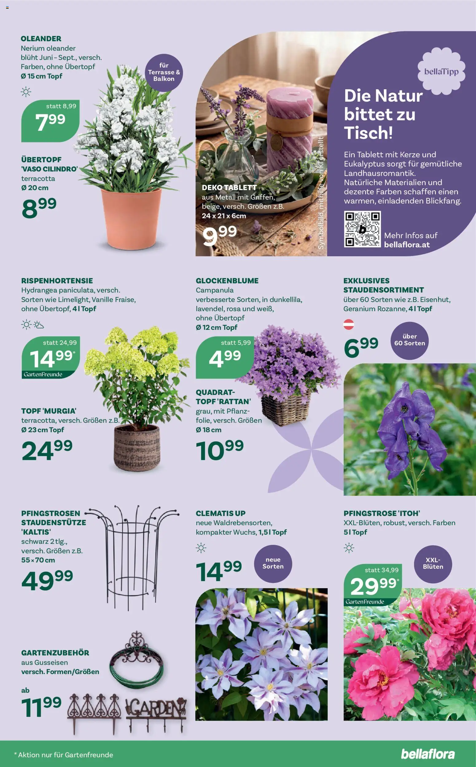 bellaflora Flugblatt - page 7- valid from 02.04.2026