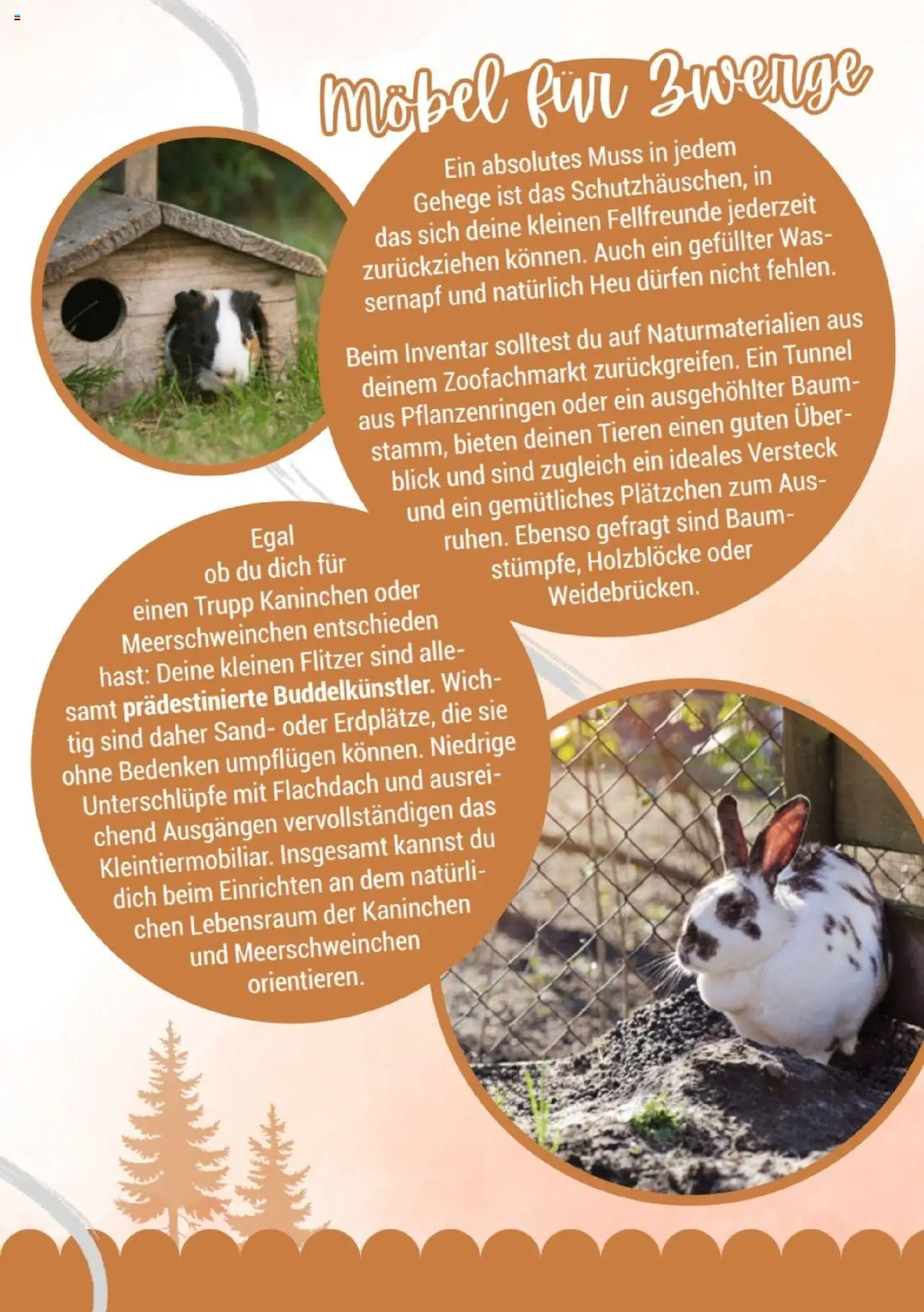 zookauf Kleintier Fibel - Seite 15 - gültig ab 05.06.2025