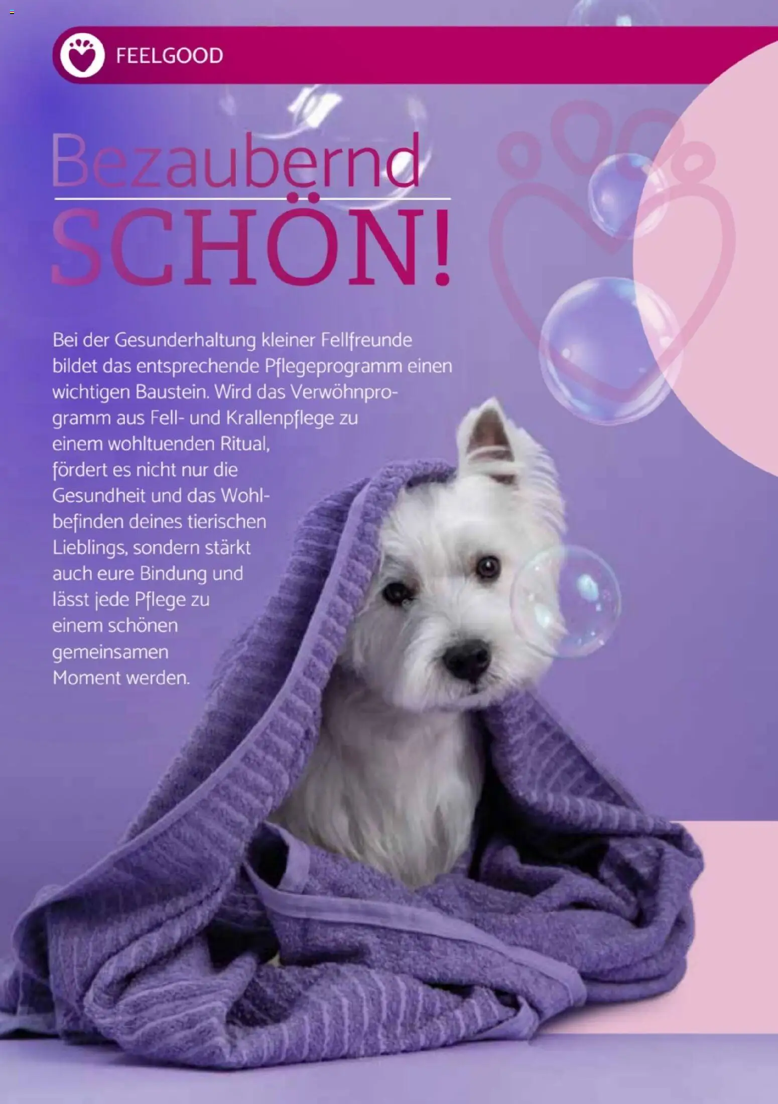 zookauf  Heimtier Journal Special - Seite 6 - gültig ab 01.12.2025