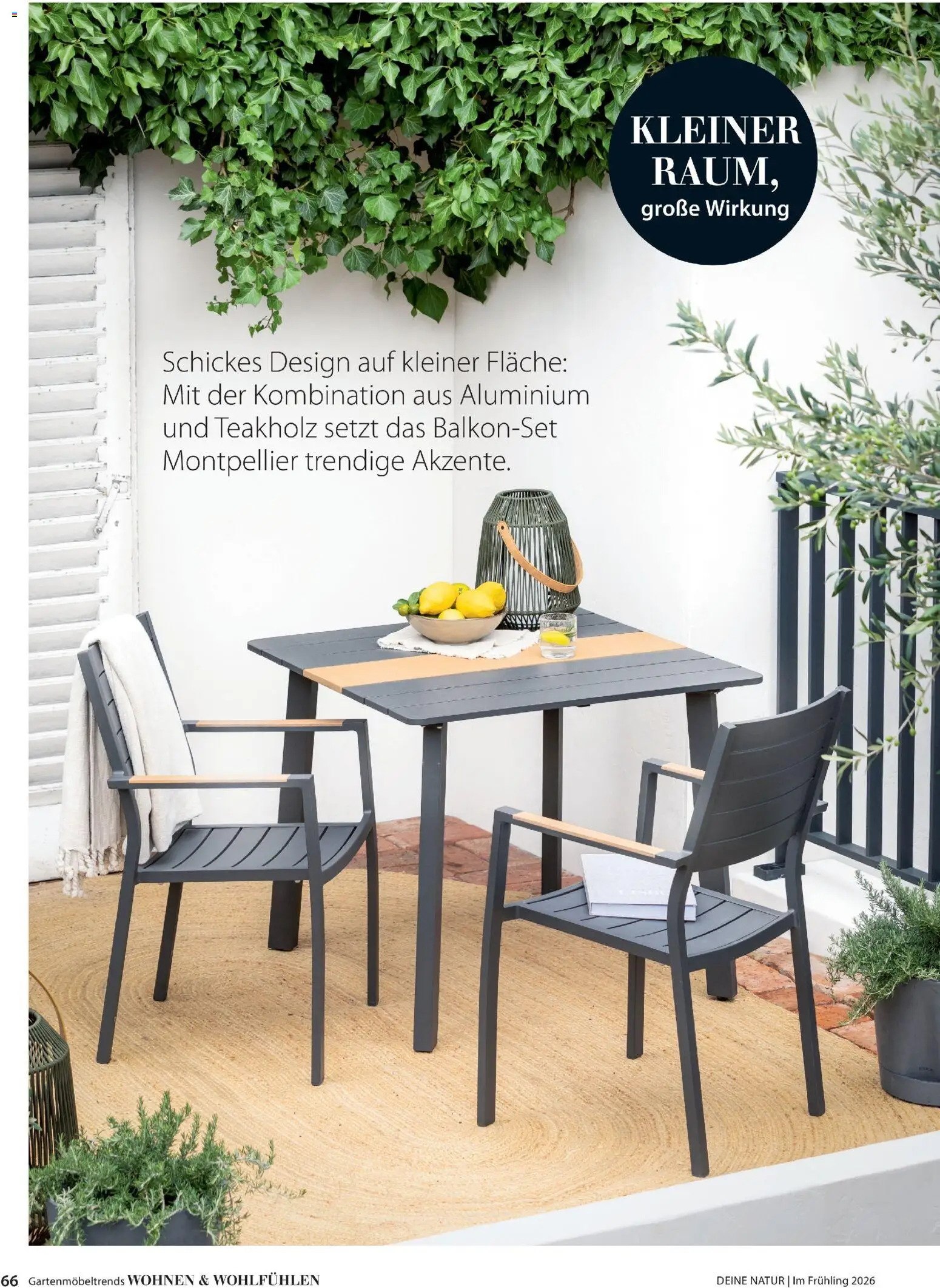 Dehner Flugblatt - page 66- valid from 05.03.2026