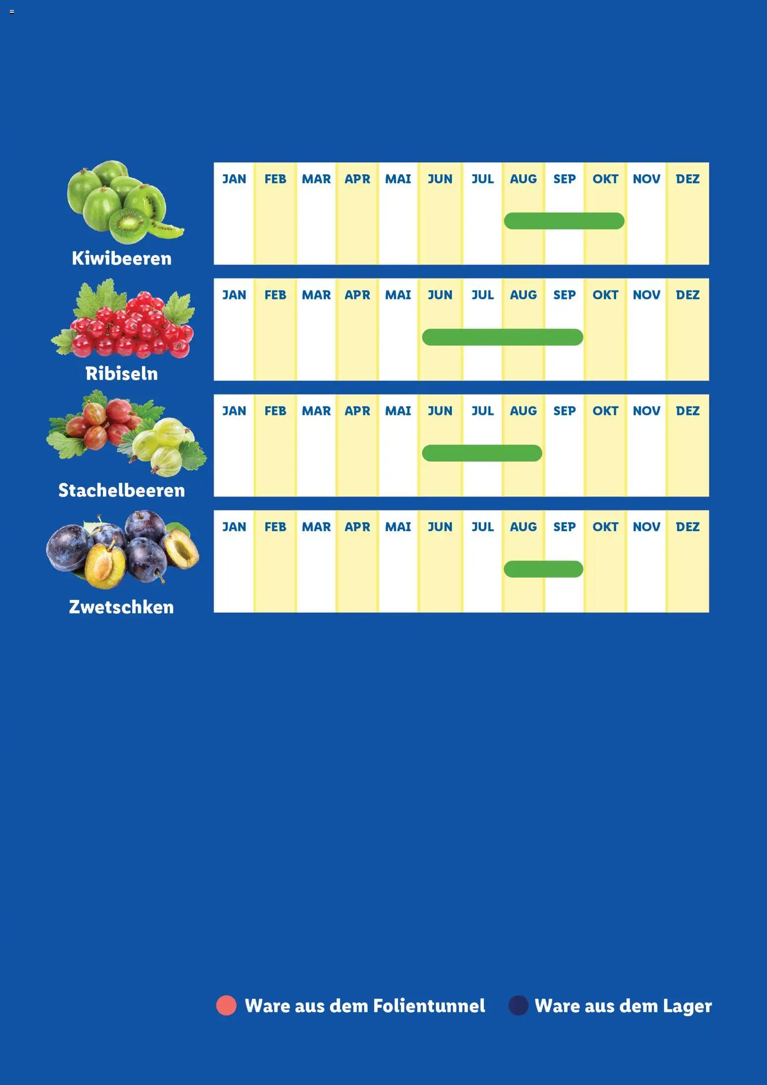 Lidl  Saisonkalender - Obst und Gemüse - page 3- valid from 01.01.2026