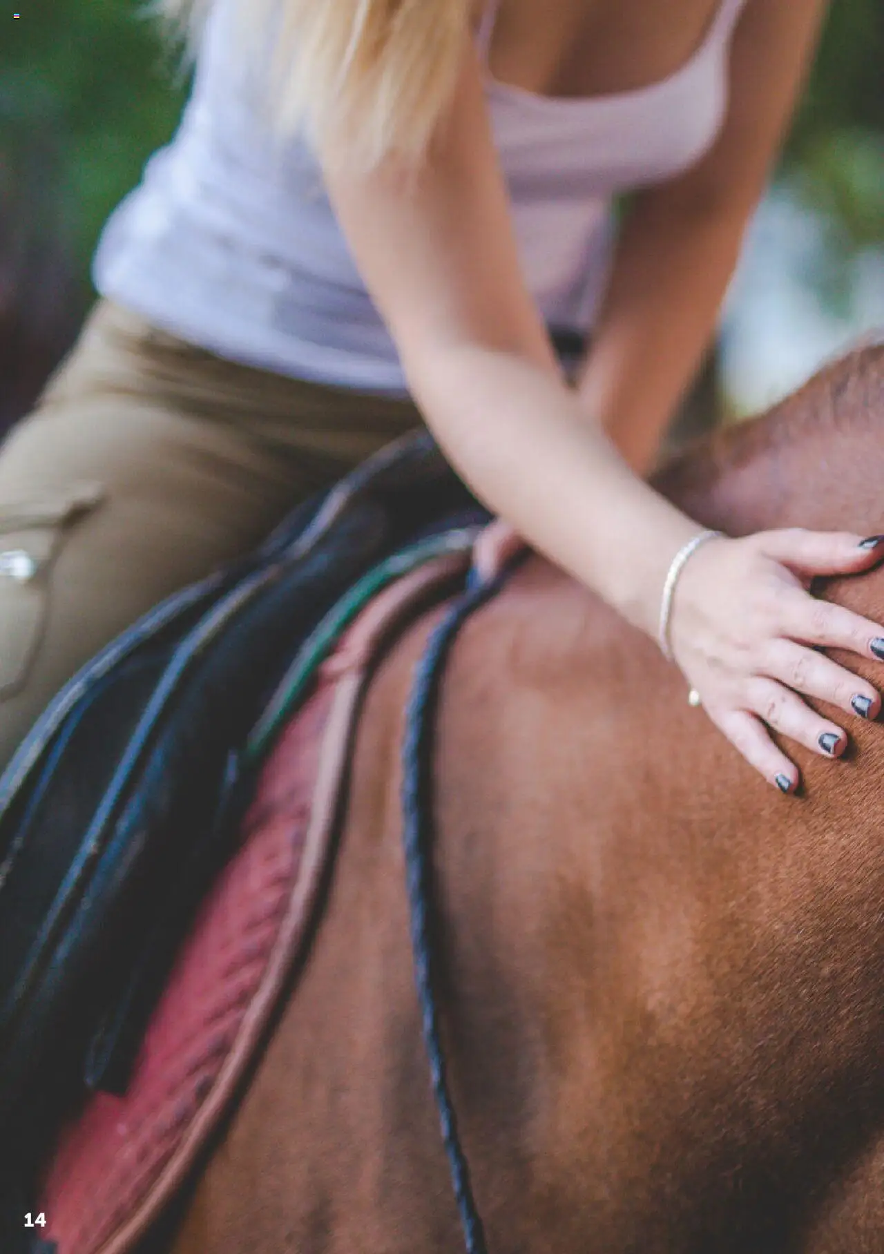 Aveve Paardensupplementen - page 14- valid from 01/06/2023